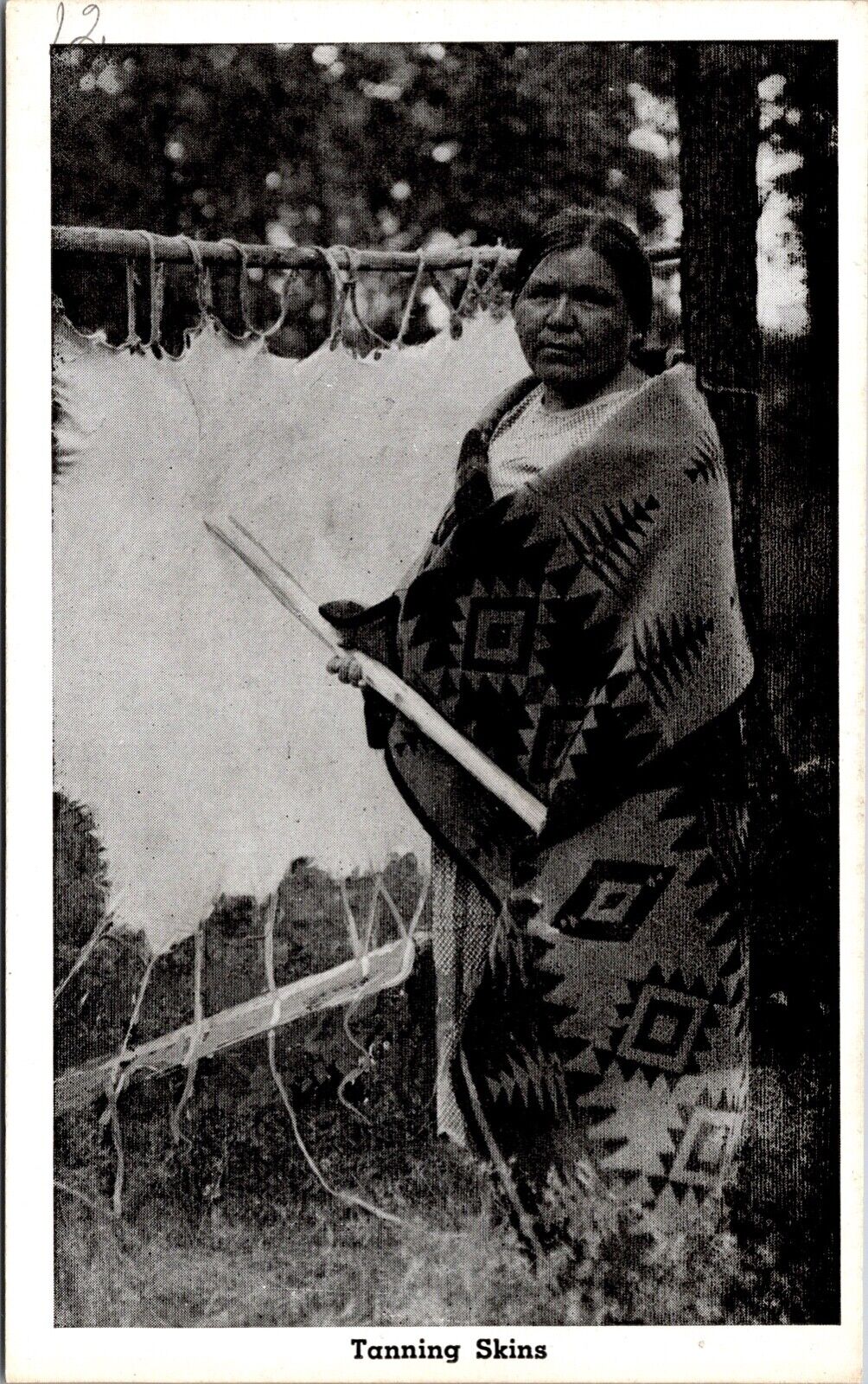 Postcard Indian Woman Tanning Skins~138889