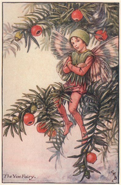 Yew Fairy by Cicely Mary Barker. Autumn Flower Fairies c1935 old vintage print