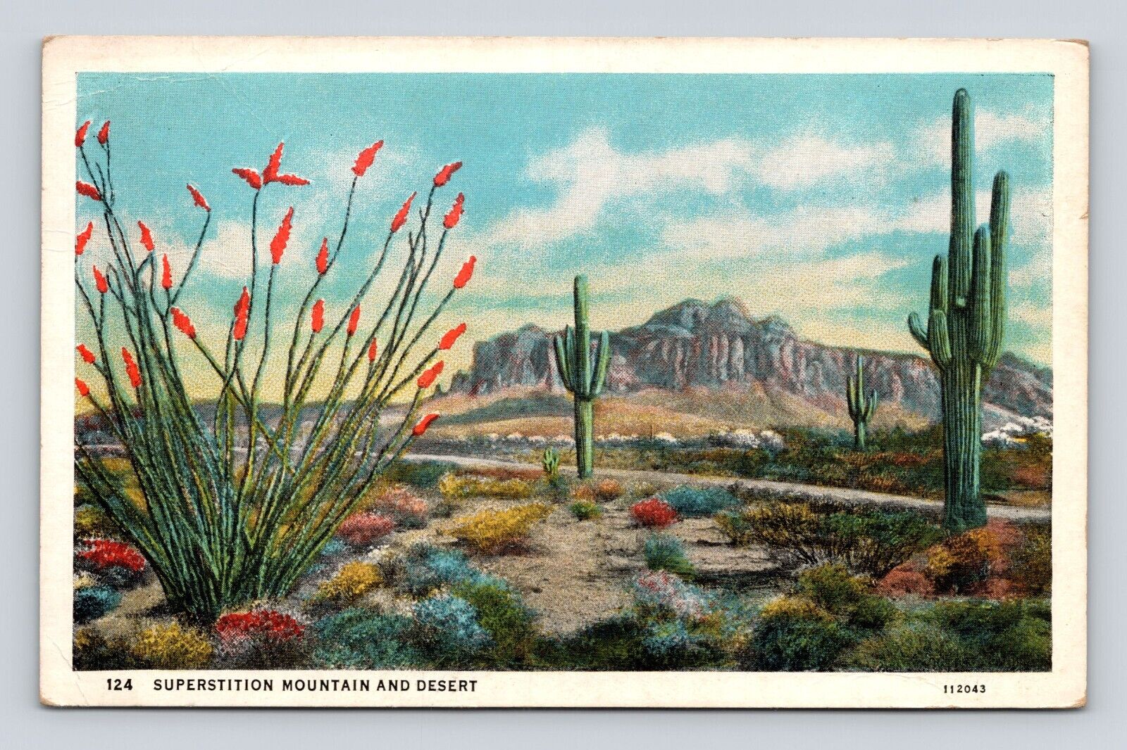 Postcard New Mexico Superstition Mountain Desert Ocotillo Fire Blossom/Cactus