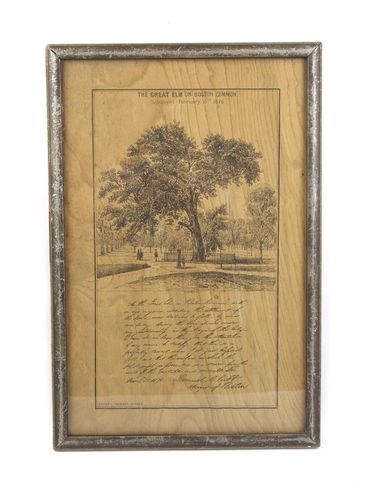 Antique 19th C Great Elm on Boston Common 1876 Lithograph Spurrs Papered Veneer