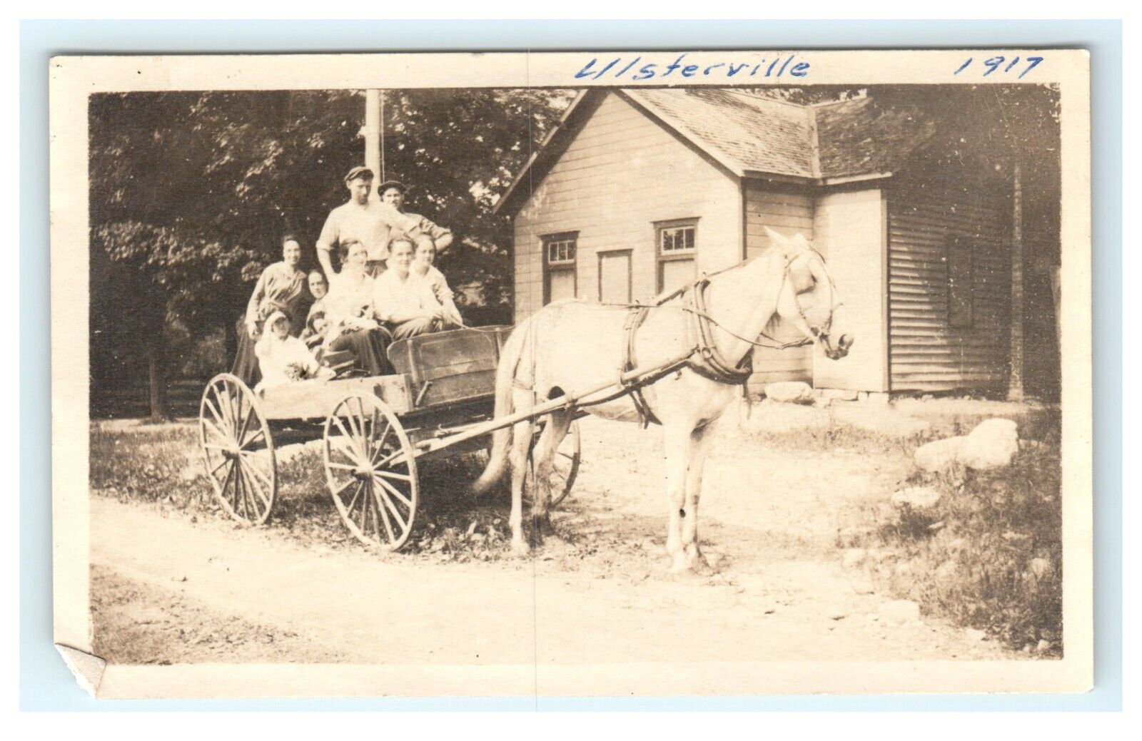 1917 Ulsterville NY Family Portrait Horse Wagon Snap Shot View