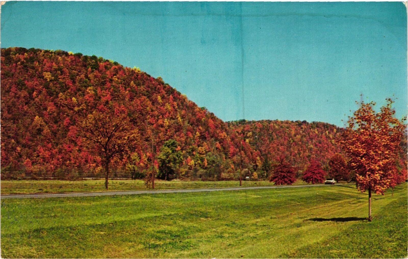 Vintage Postcard- Fall Foliage, Elliston, VA Early 1900s