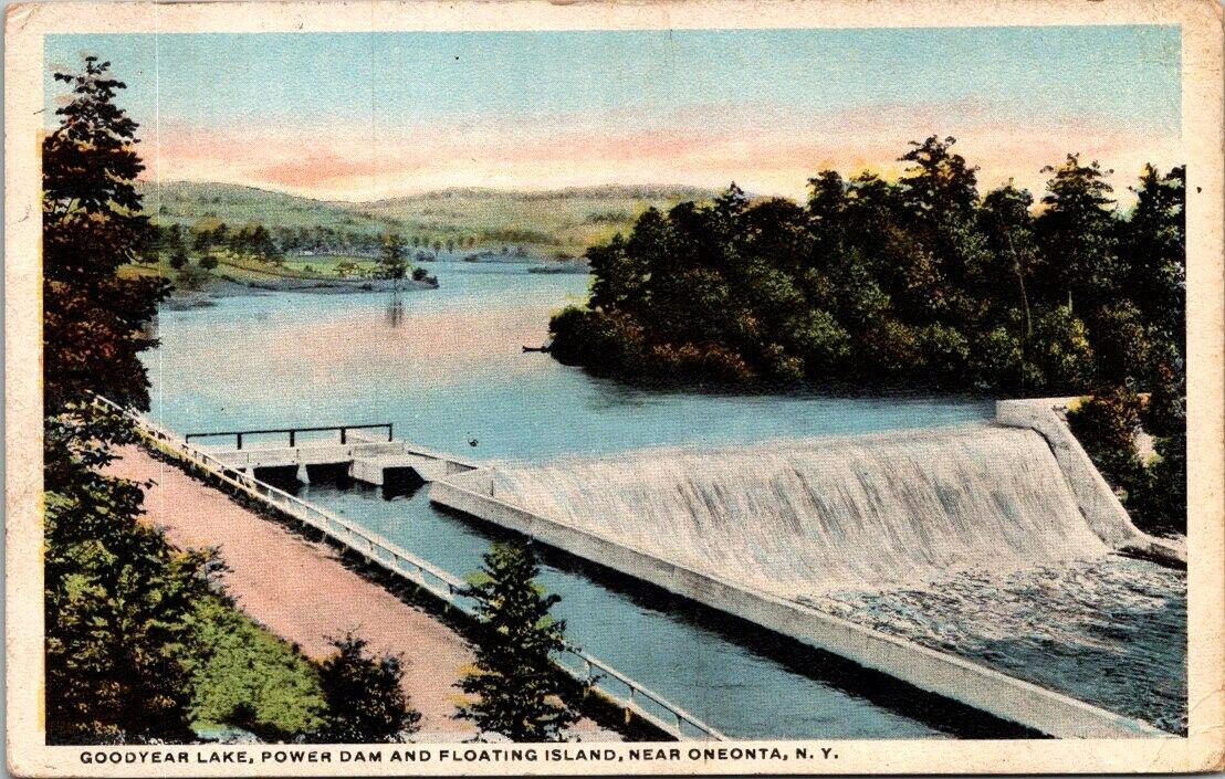 Postcard. Goodyear Lake Power Dam and Floating Island Near Oneonta, New York. AX