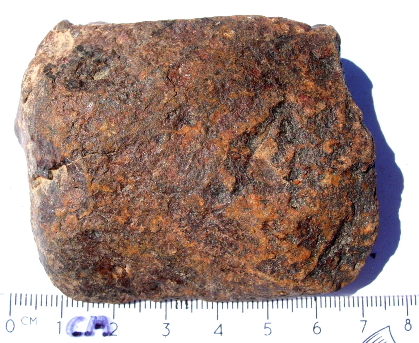 145 grams NWA xxx unclassified as found individual stoney Meteorite with a COA