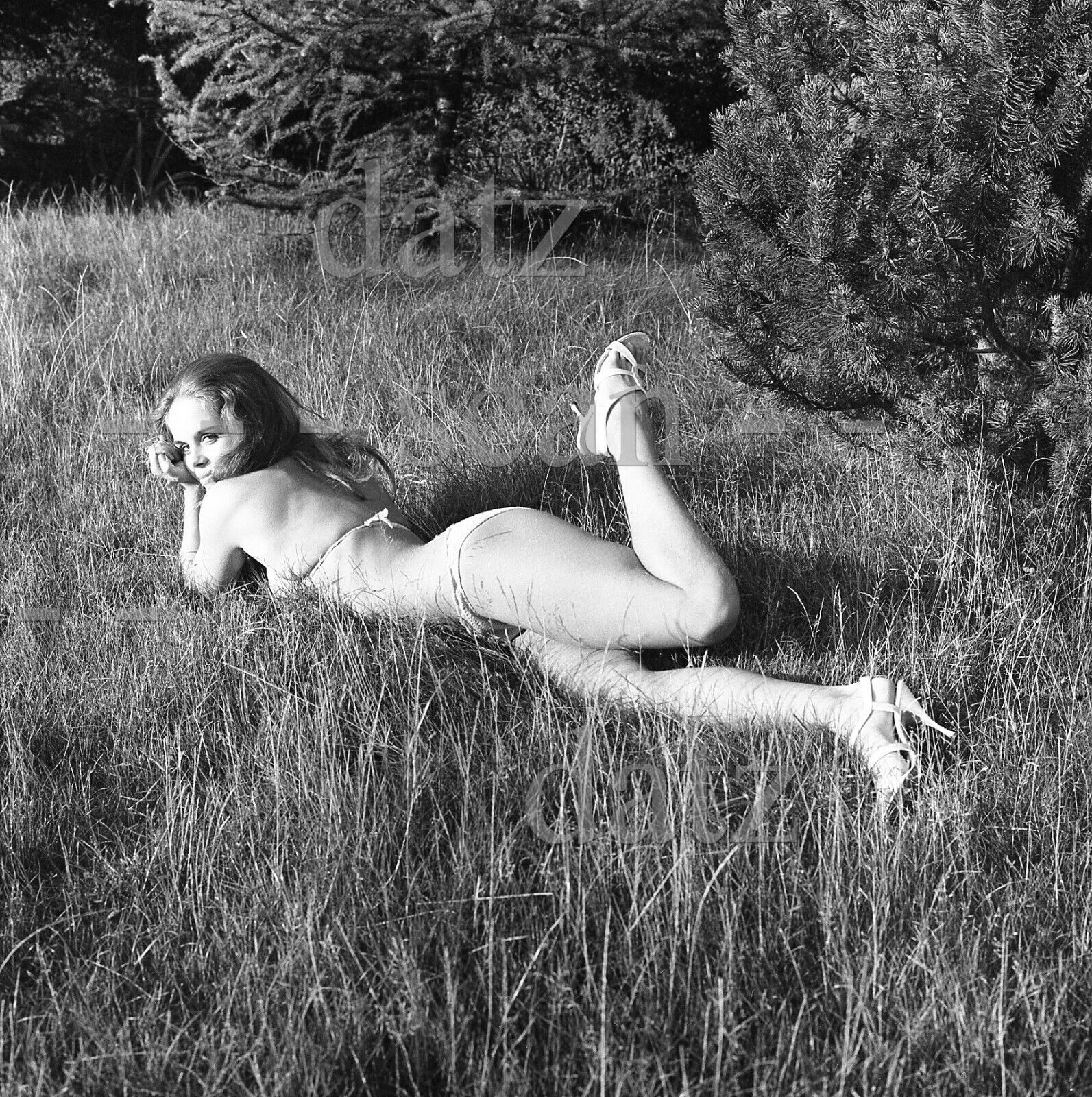 1960s Negative-sexy pinup girl in bikini outdoors-cheesecake t459687