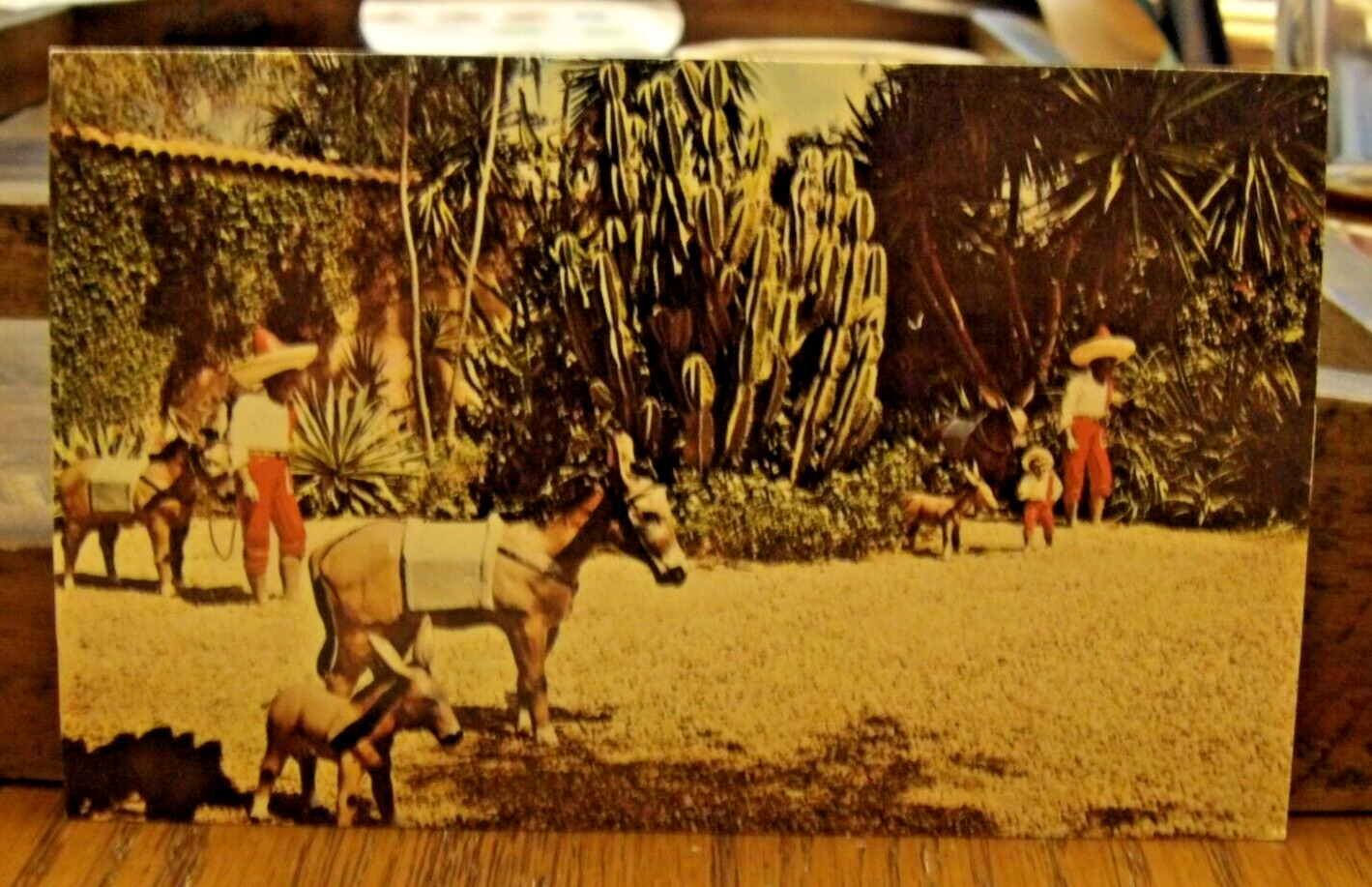 Vintage Florida Chrome Postcard Cypress Gardens-Mexico Scene