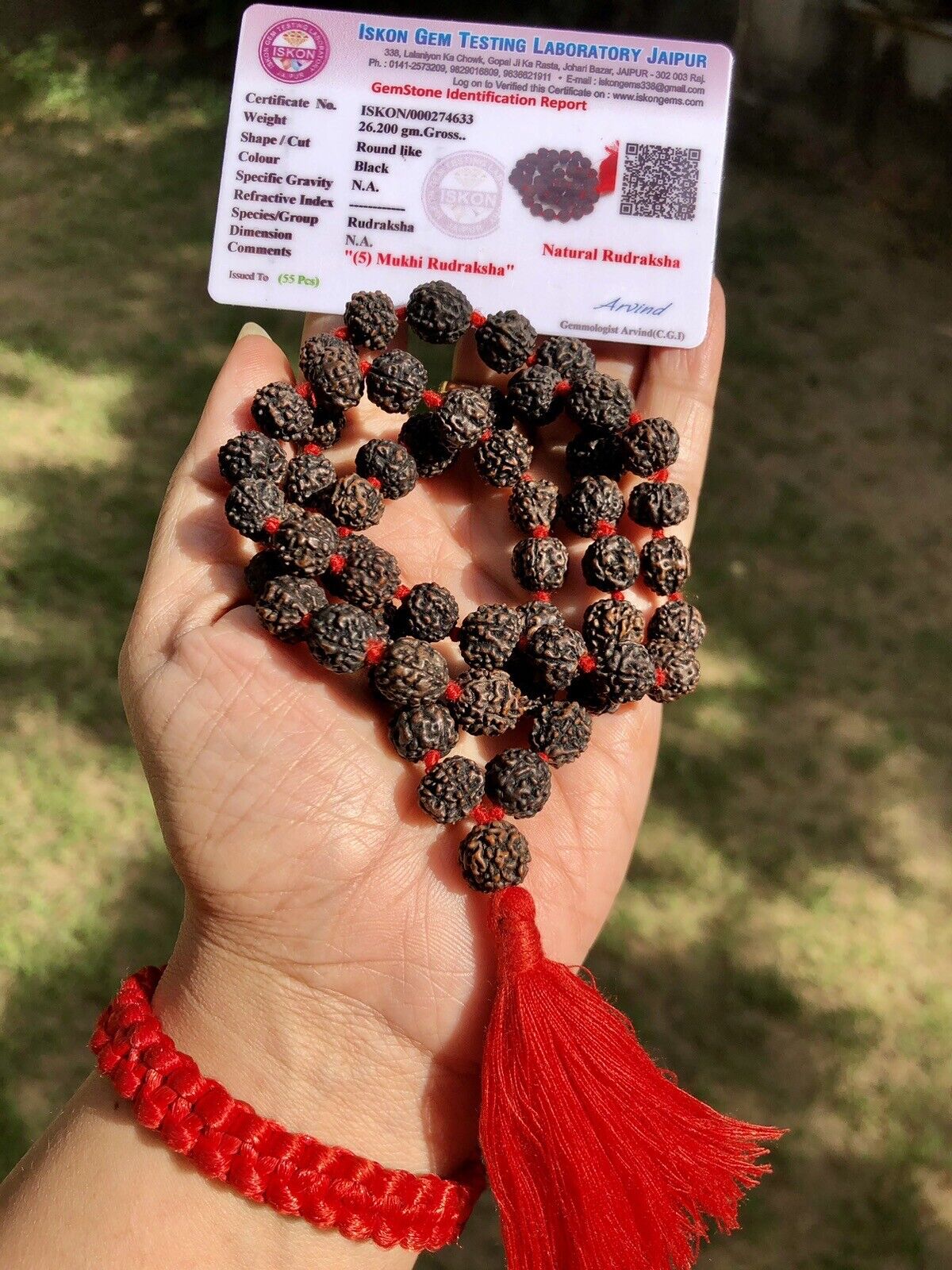 LAB CERTIFIED 5 Mukhi RUDRAKSHA Black Rudraksh Mala ROSARY 54+1 Prayer Beads