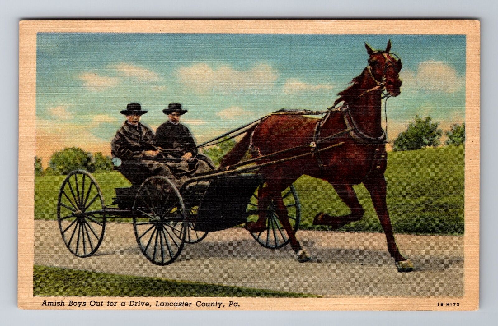 Lancaster County PA-Pennsylvania, Amish Boys Out For A Drive, Vintage Postcard
