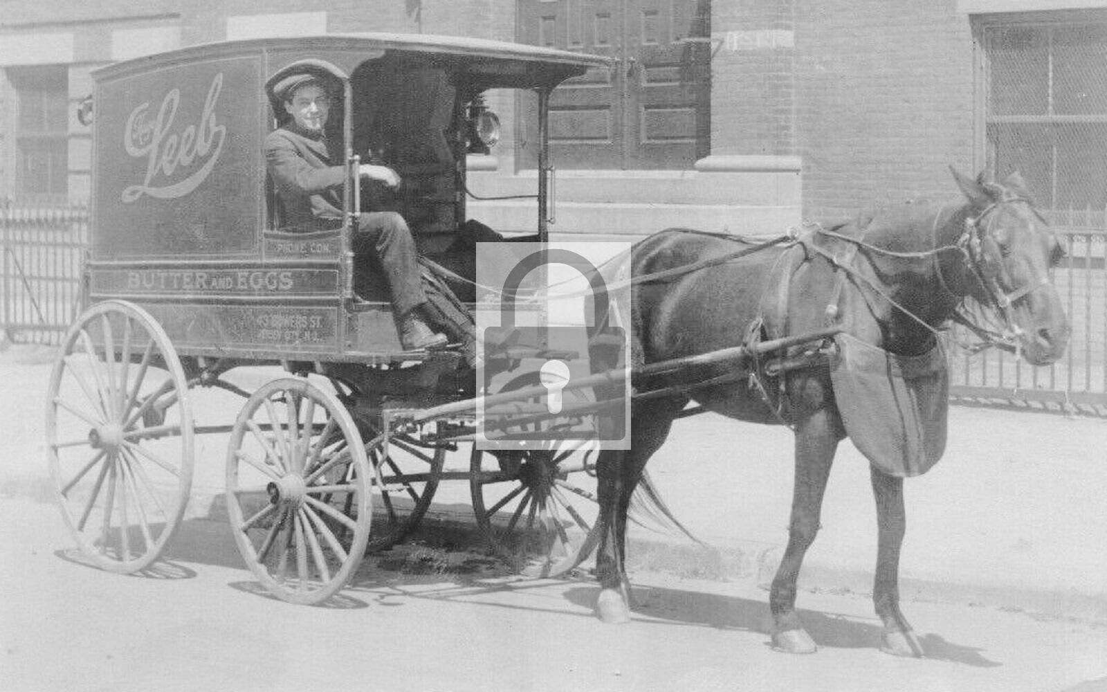 Hugo Leeb Horse Drawn Dairy Delivery Wagon New Jersey City NJ Reprint Postcard