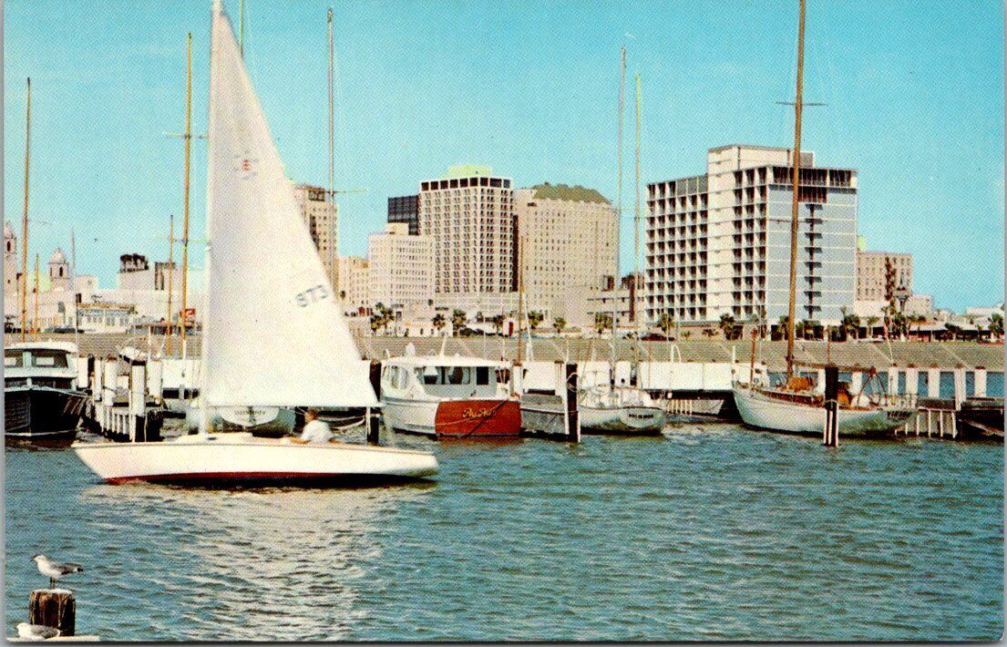 Corpus Christi Texas Sailboats Powerboats Yacht Basin Hotel Seagulls Postcard TX