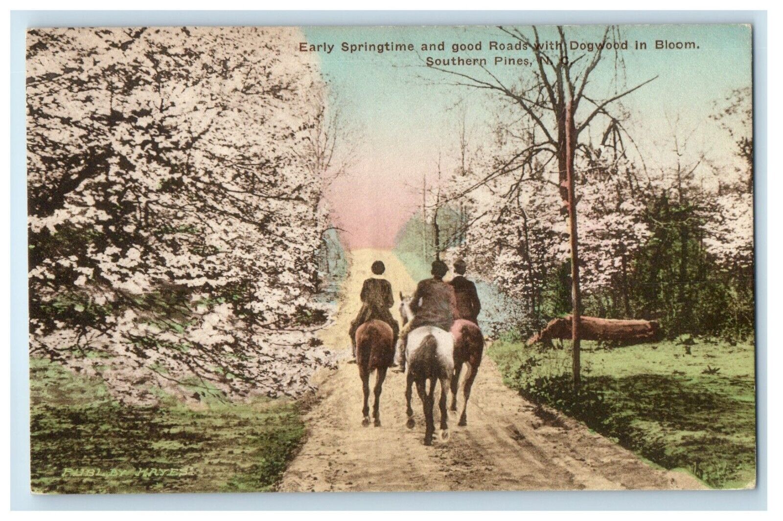 c1910 Spring Dogwood Horse Trail Southern Pines NC Handcolored Postcard
