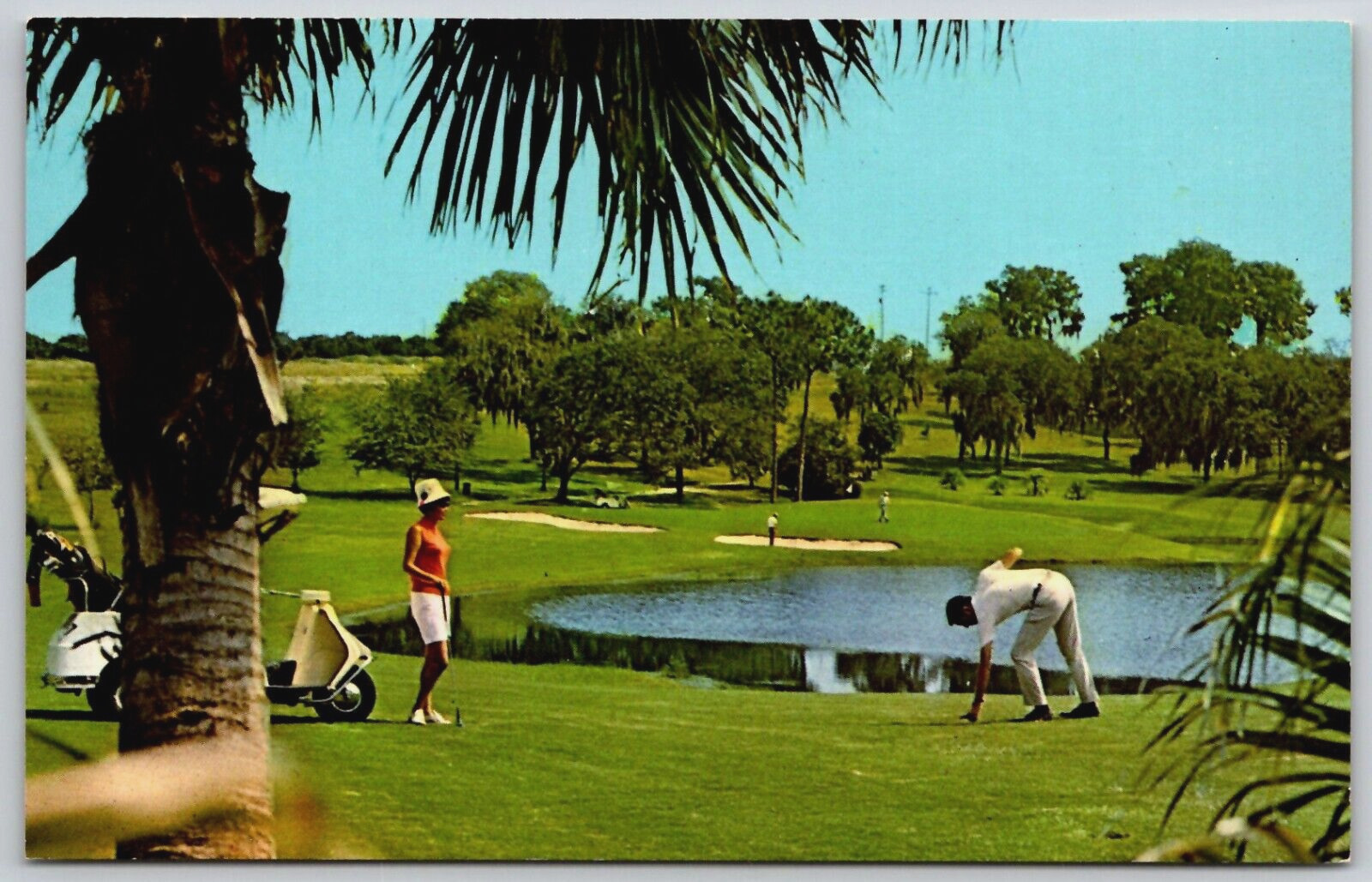 Vintage Postcard - Mission Inn & Country Club - Palm Ave - Howey In The Hills FL