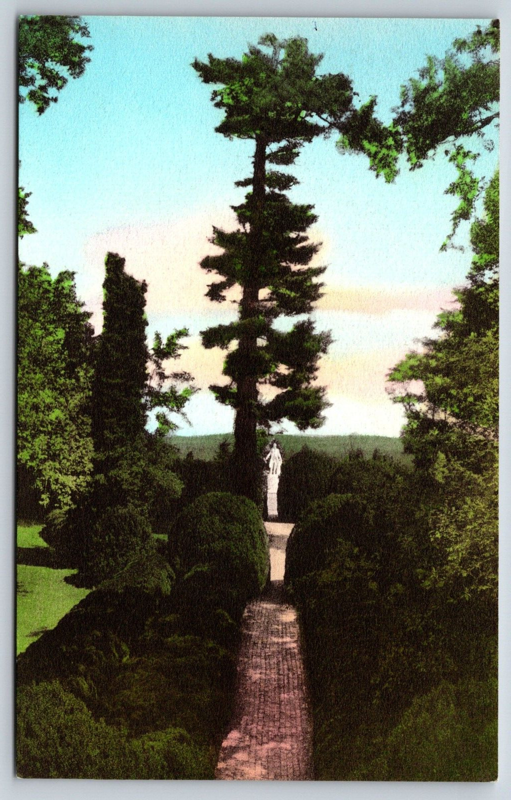 Evergreen Garden, Ash Lawn, Charlottesville, Virginia Vintage Postcard