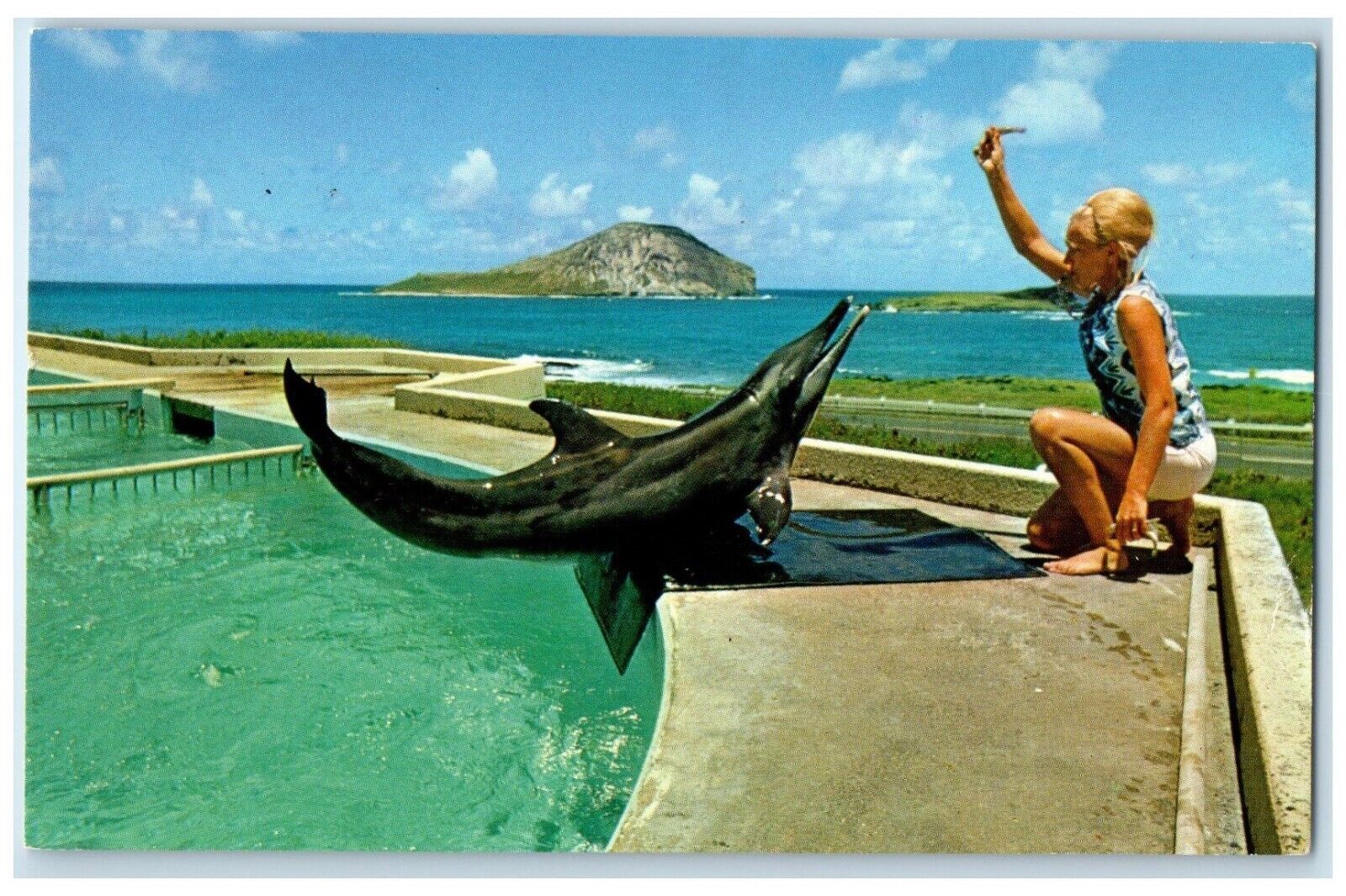 c1960 Breath-Taking Sea Life Park Makapuu Point Oahu Hawaii HI Vintage Postcard