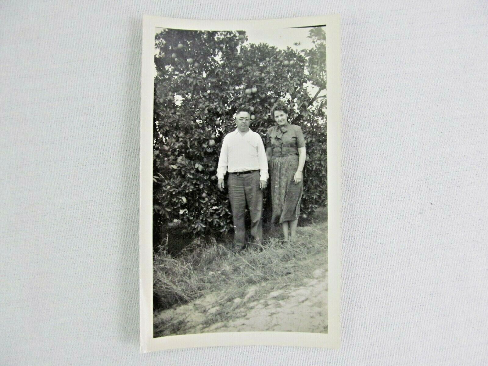 Vintage Black & White Snapshot Man Woman Standing Fruit Tree B&W Photograph