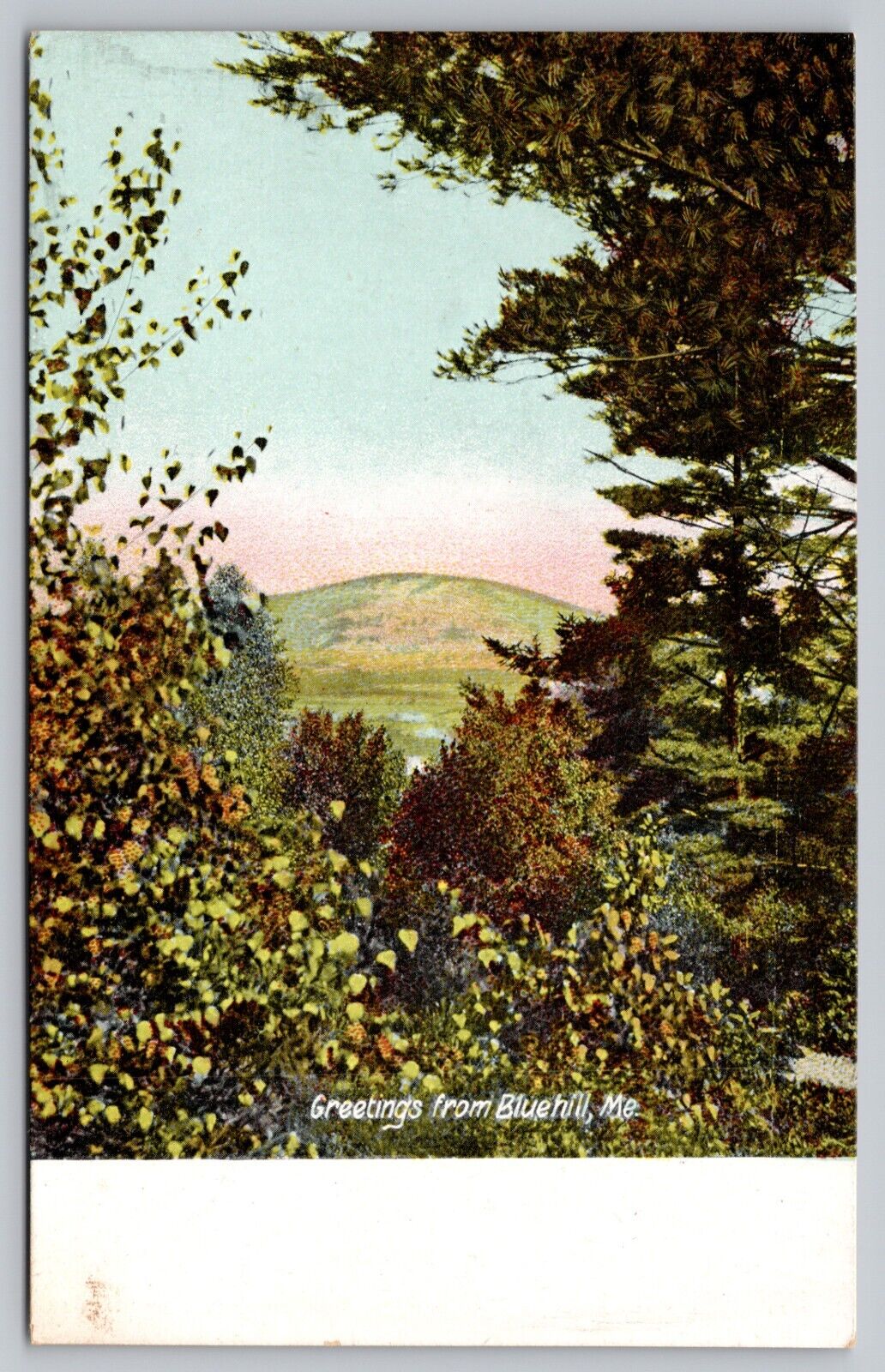 Postcard - Greetings from Bluehill, Maine - Scenic, Early 1900s, Unposted (M7h)