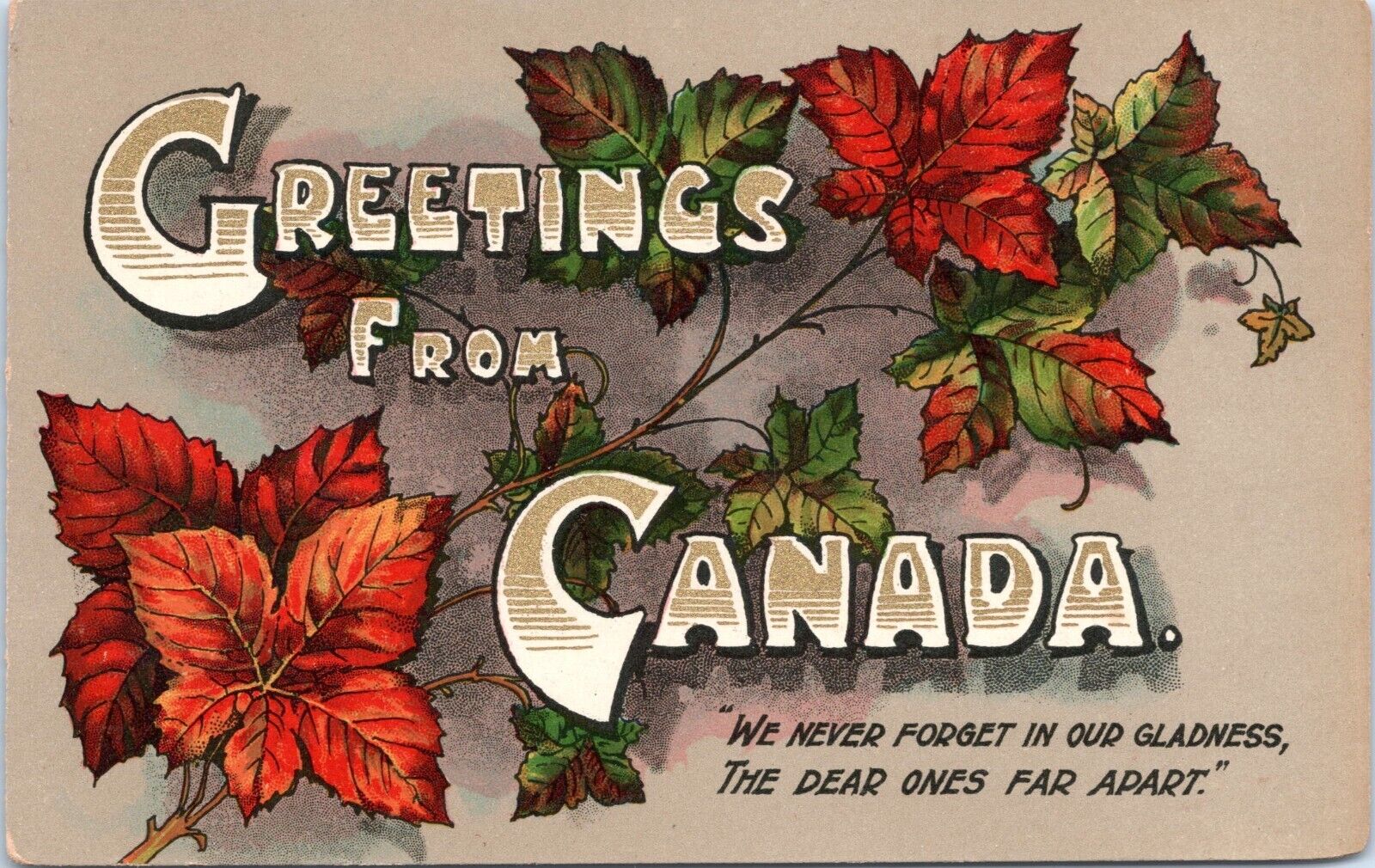 Greetings from Canada - c1920s National Series Postcard - Maple Leaves