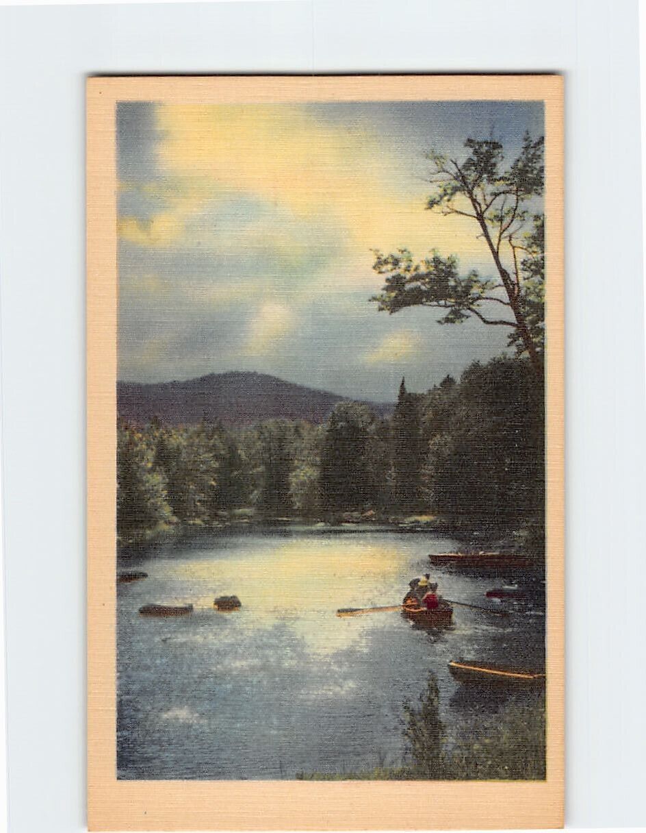 Postcard Boats Lake Nature Evening Scenerya