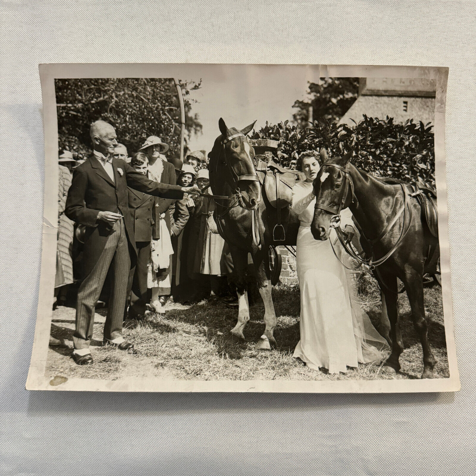 1934 Wedding Press Photo Photograph Horses British Nobles