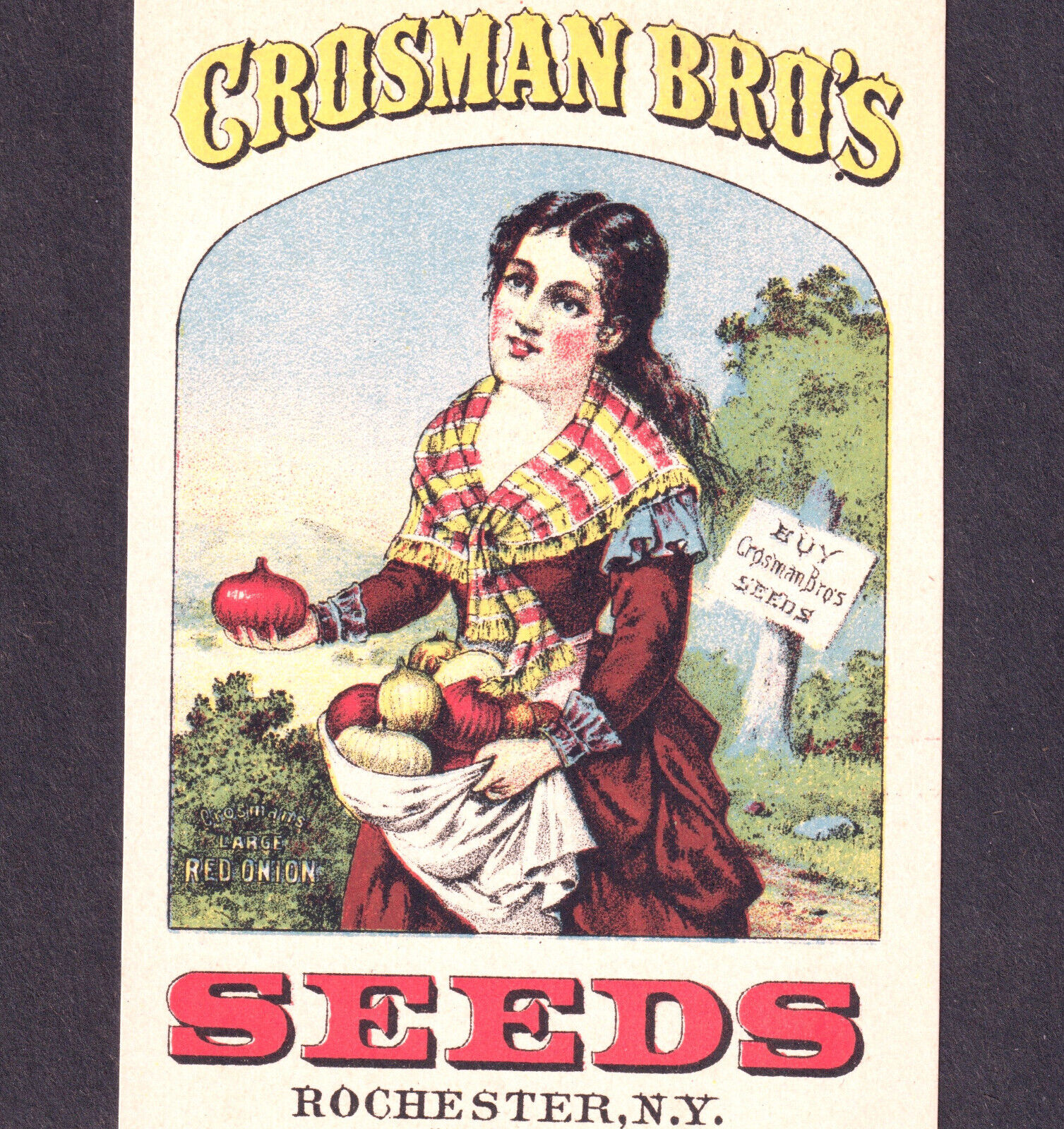 Crosman Bros Seeds Rochester NY 1800's Red Onion Farm Girl Victorian Trade Card