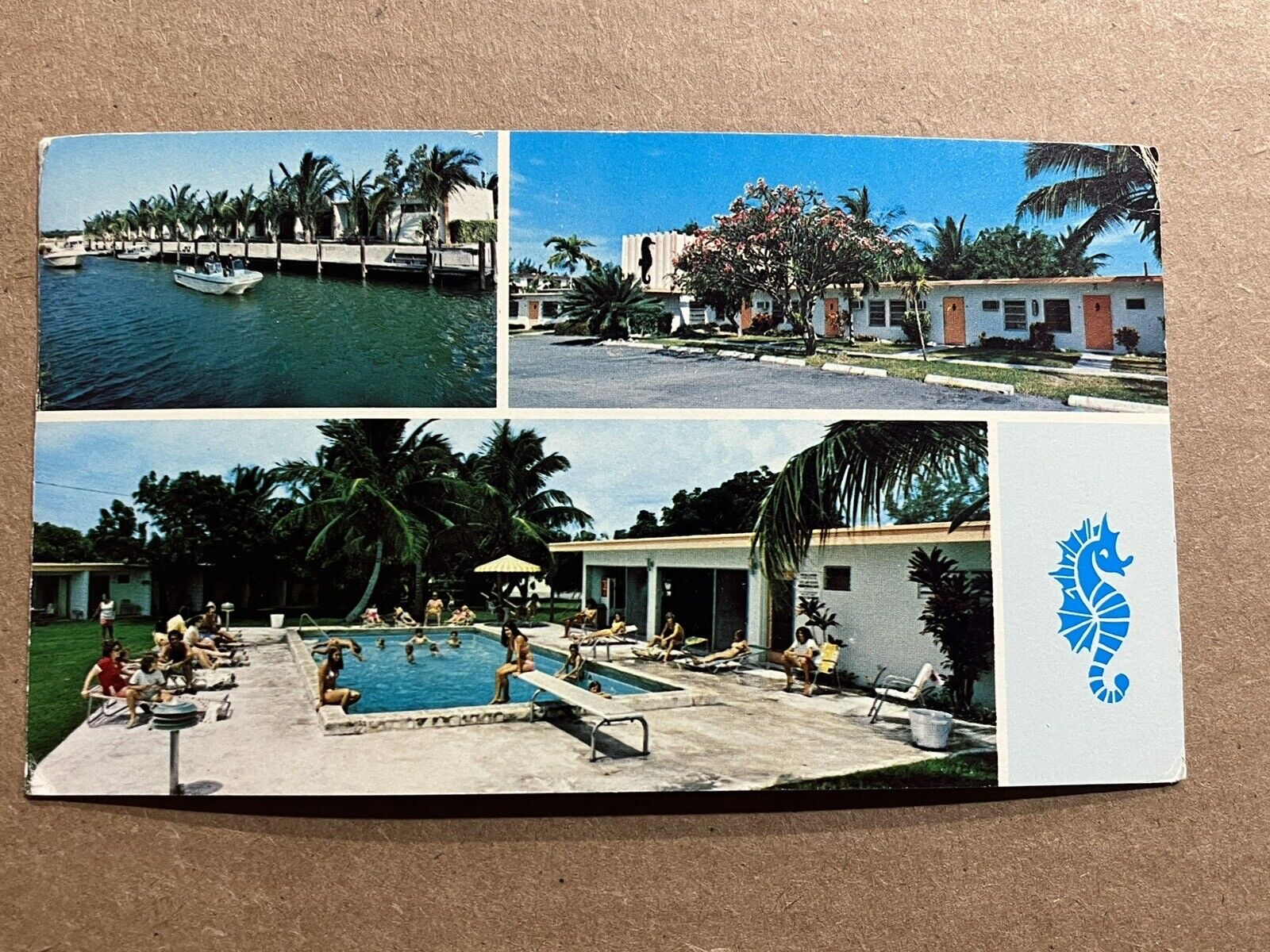 Postcard Marathon FL Florida Seahorse Motel Vintage Overseas Highway Roadside PC