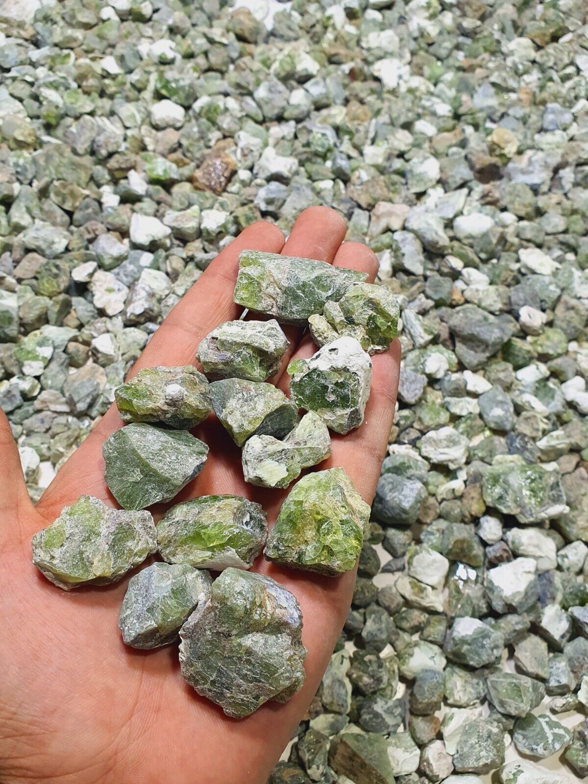 5-KG Peridot Huge Big Sizes Natural Rough Lot From Sopat Mine Pakistan 