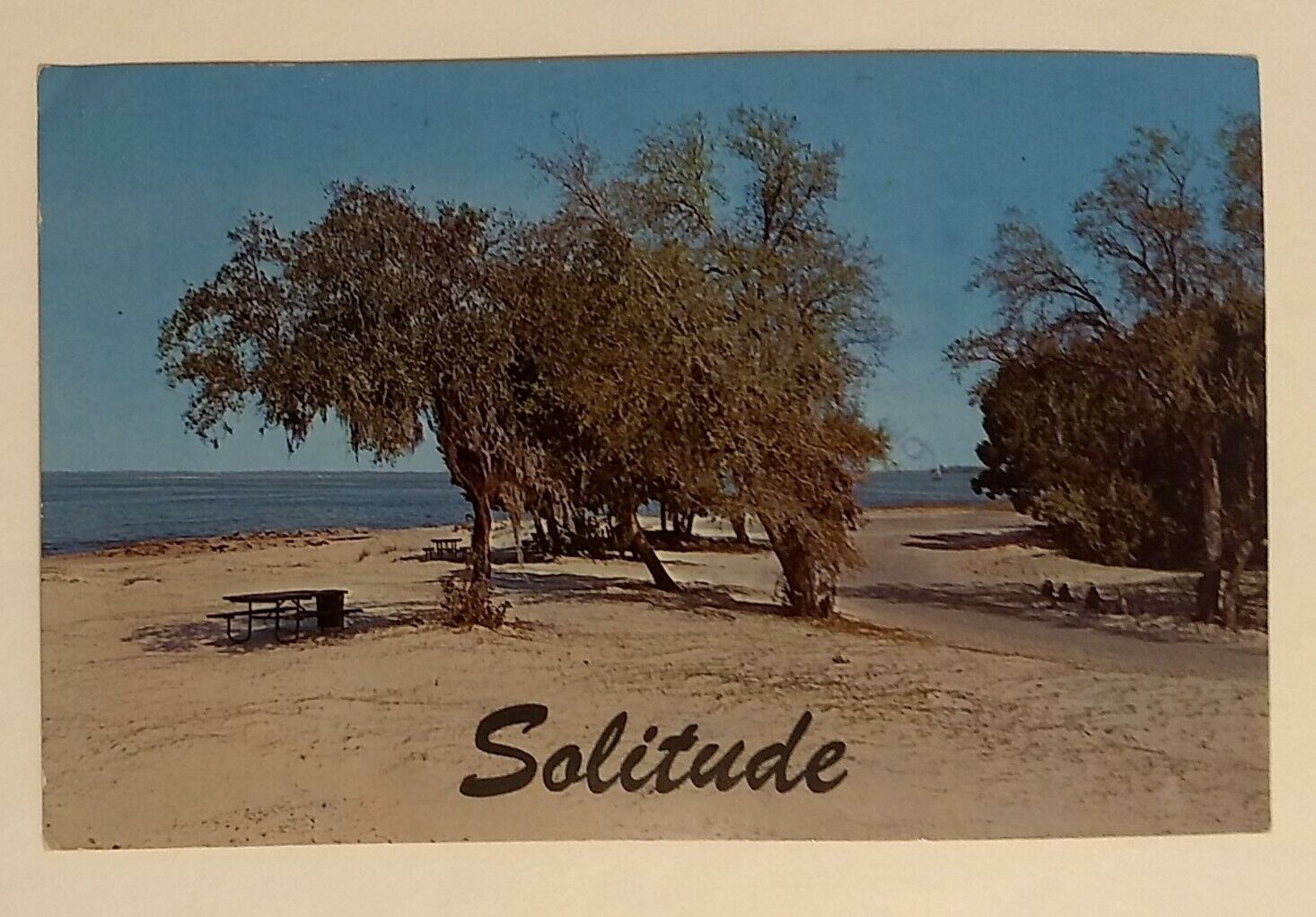 Postcard SOLITUDE, Empty Beach, Fort Clinch State Park near Fernandina Beach FL