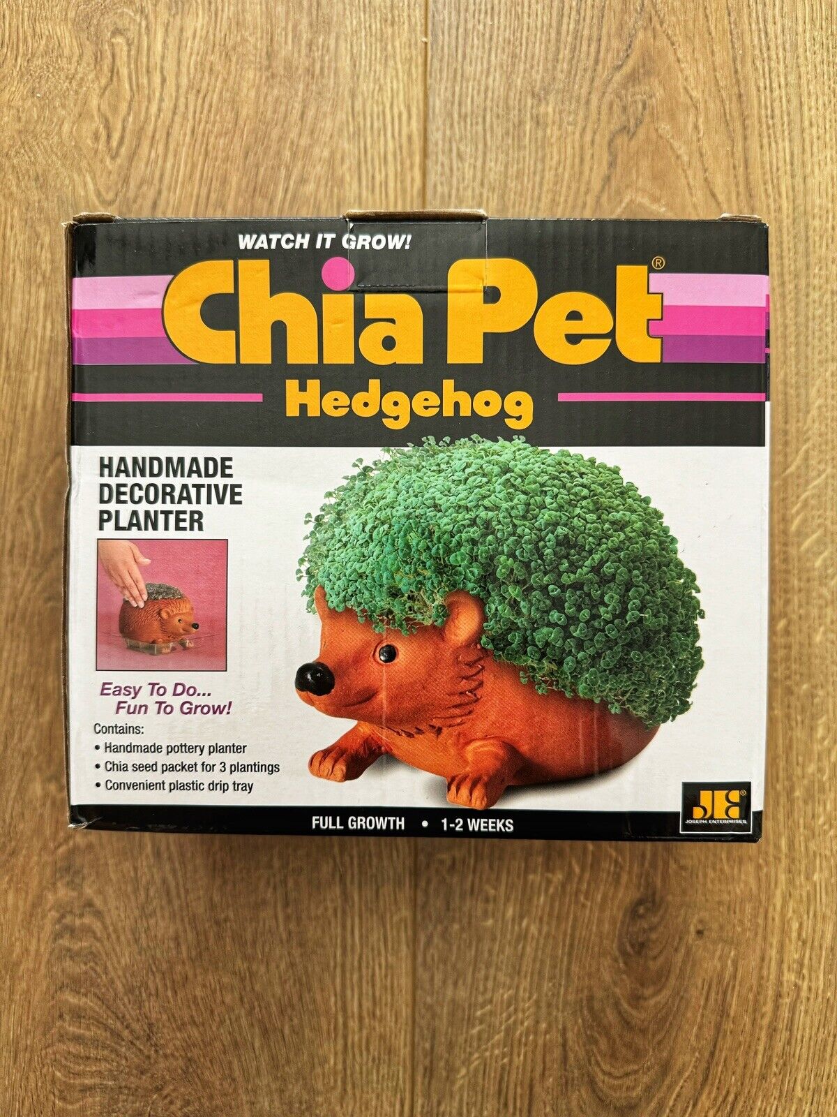 Chia Pet | Hedgehog