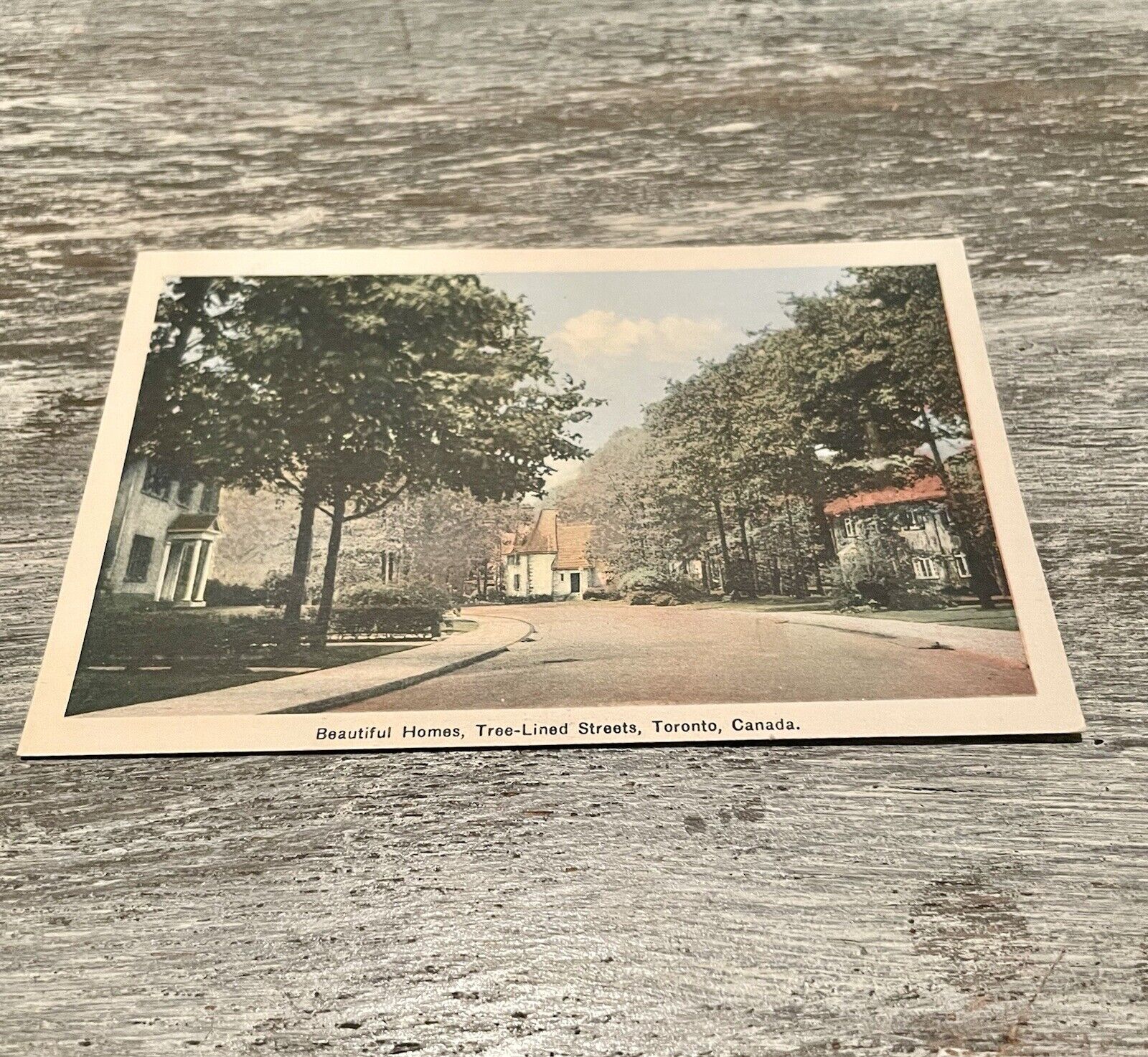 1947 Postcard Beautiful Homes, Tree-Lined Streets, Toronto, Canada