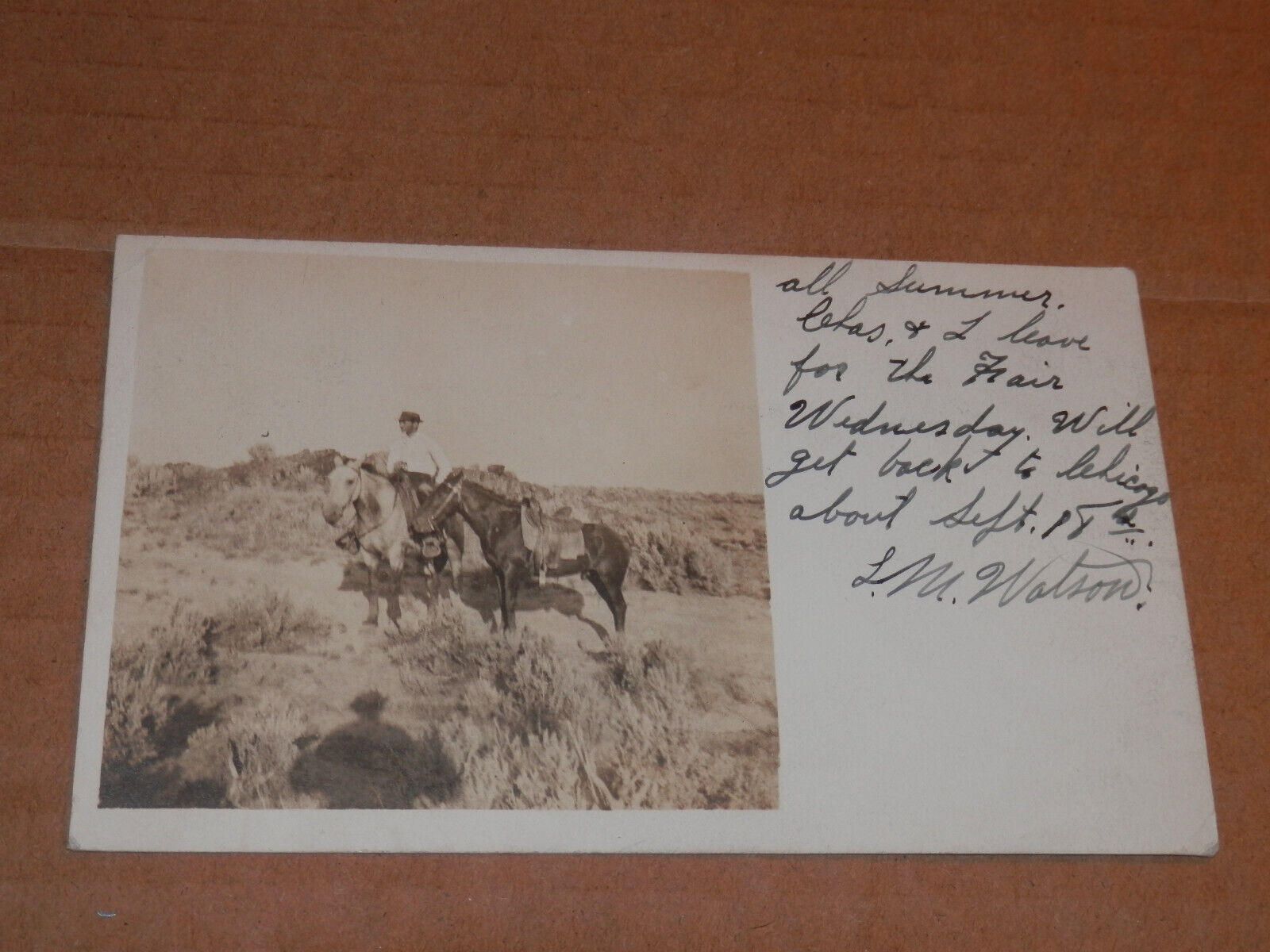 GOODING IDAHO - 1909 REAL PHOTO RPPC POSTCARD - COWBOY and HORSES