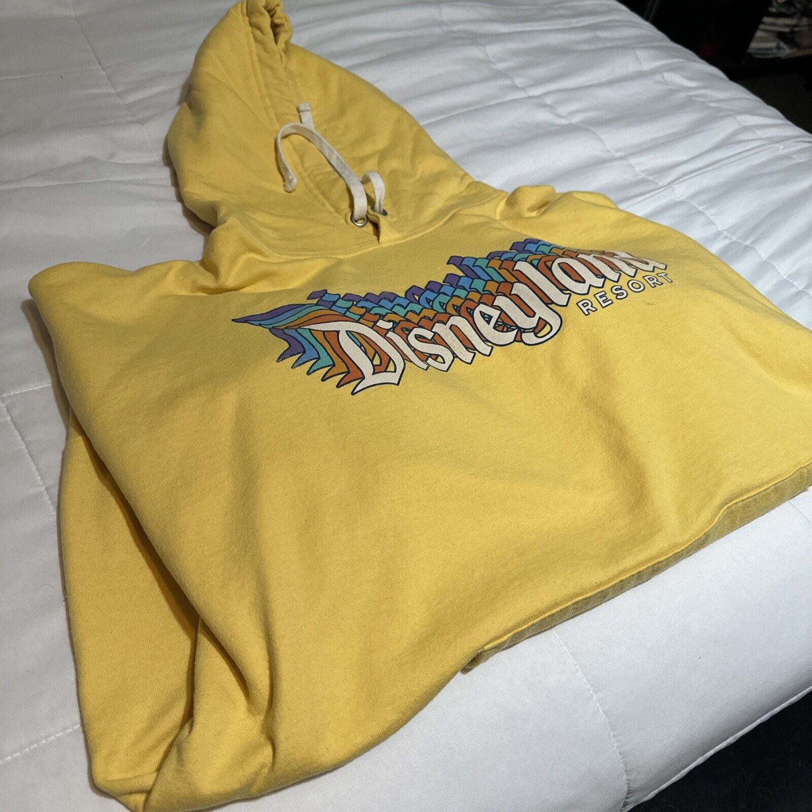 Disneyland Resort Hoodie Sweater Size XXL 
