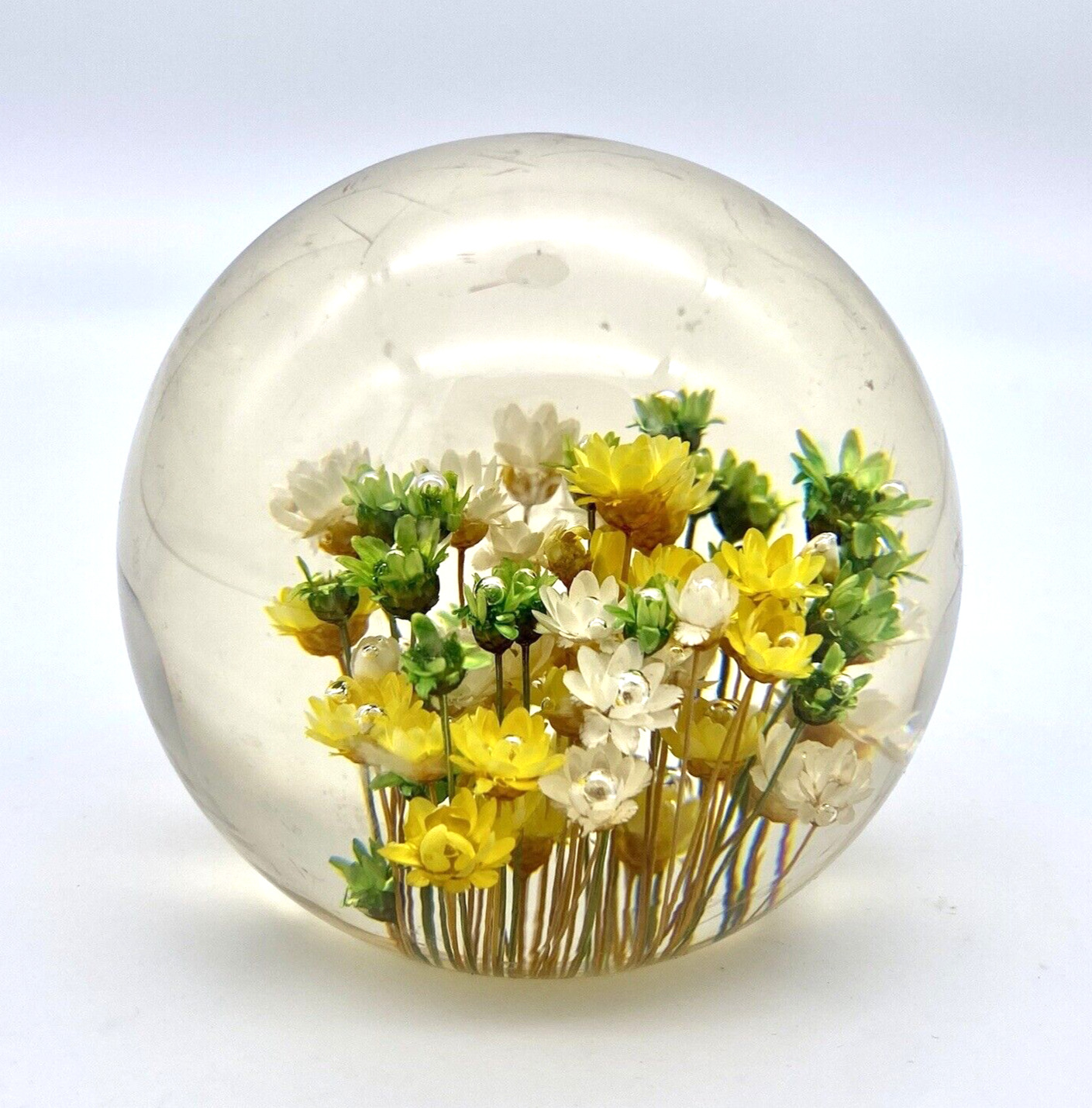 Clear Resin PAPERWEIGHT Sphere Encapsulated Preserved REAL FLOWERS Baby\'s Breath