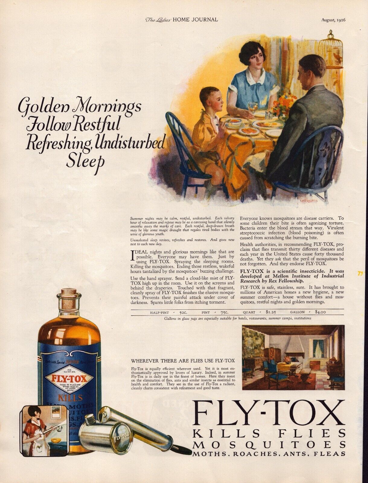1926 FLY-TOX Insect Killer Flies Mosquito Décor Ephemera Vintage 1920\'s Print Ad