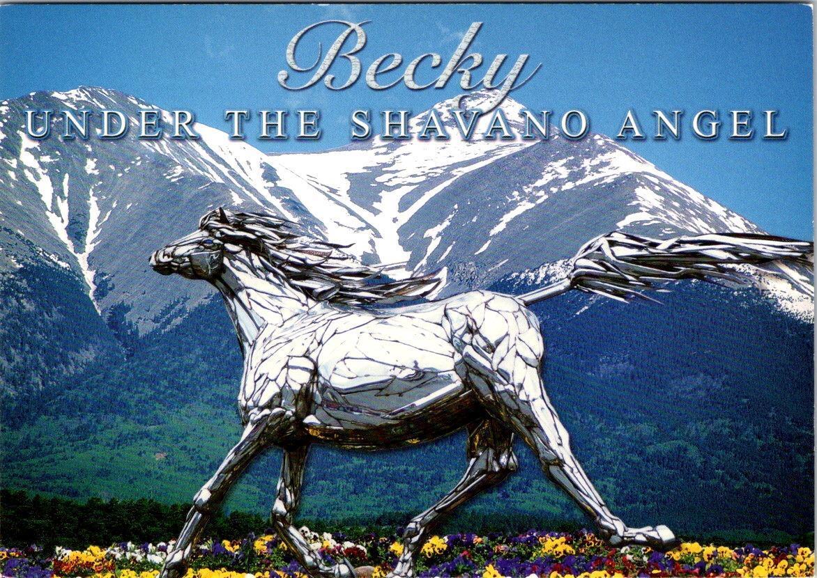 Poncha Springs, CO Colorado SILVER HORSE \