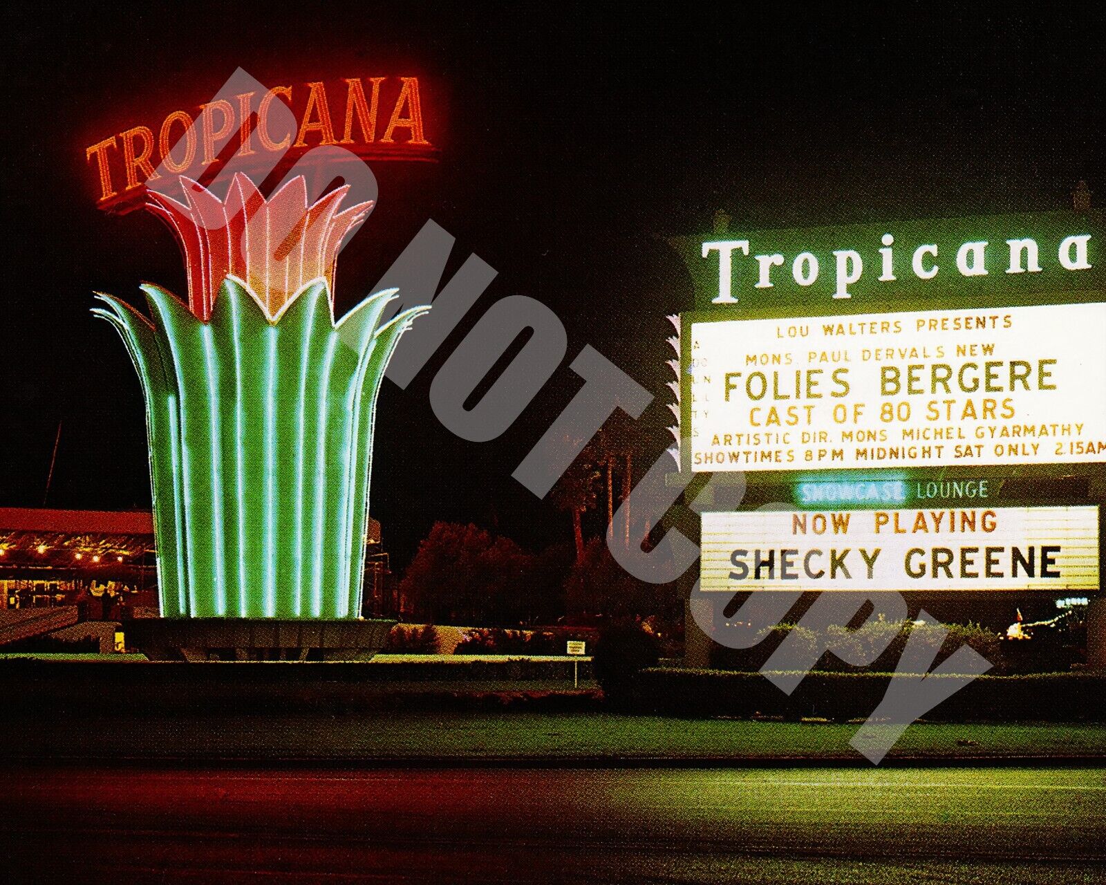 Tropicana Casino Hotel Night Marque At Night Las Vegas Post-Card Like 8x10 Photo