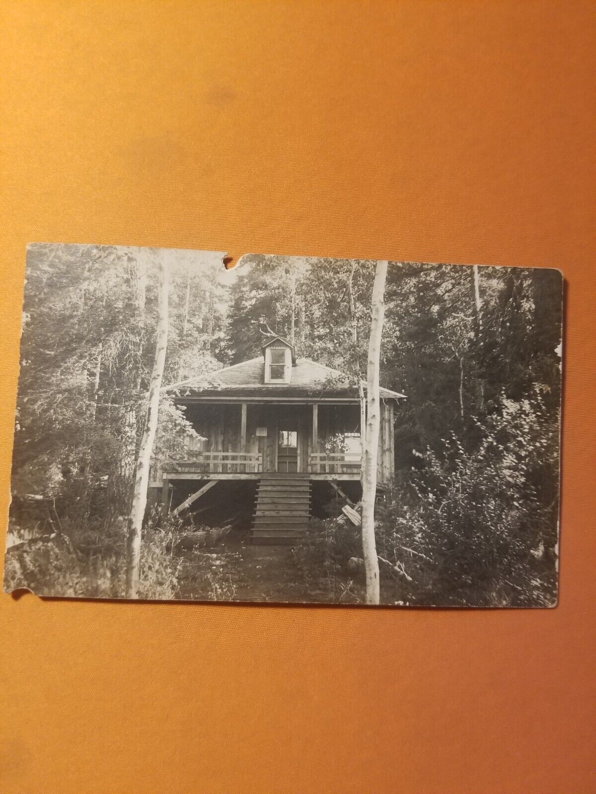 Vintage photograph post card Swamp house  in the woods