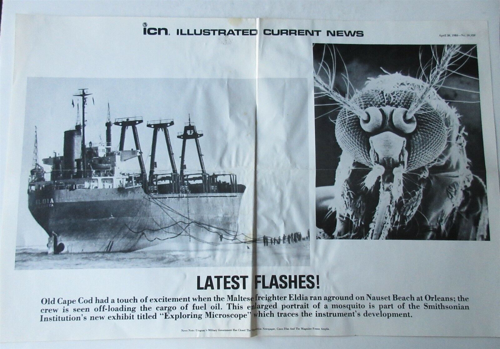 Illustrated Current News 1984 Cape Cod freighter Eldia on Nauset Beach poster