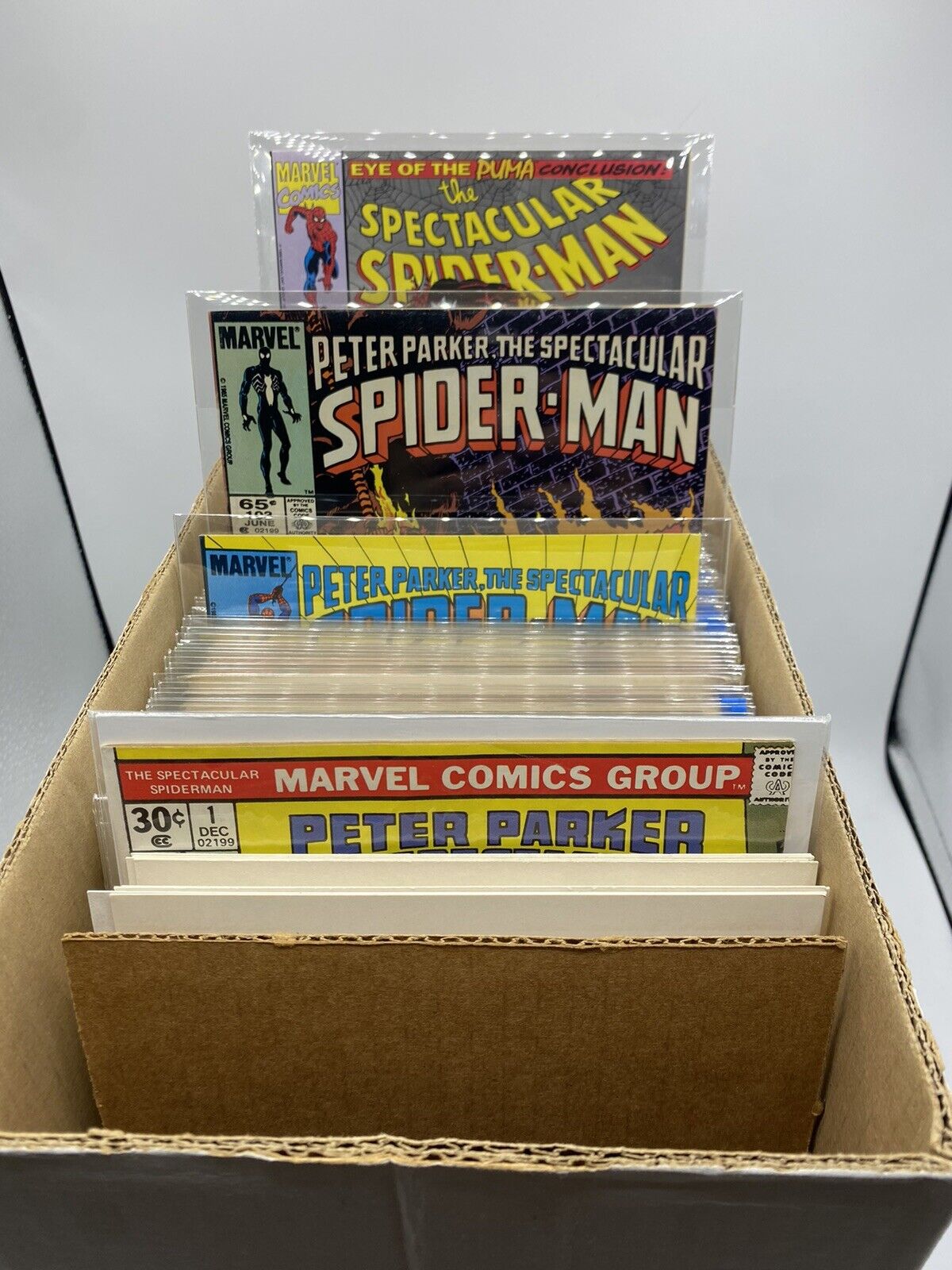 Run of 110+ Issues SPECTACULAR SPIDER-MAN 1-231 Mostly Bagged in Thick Mylar