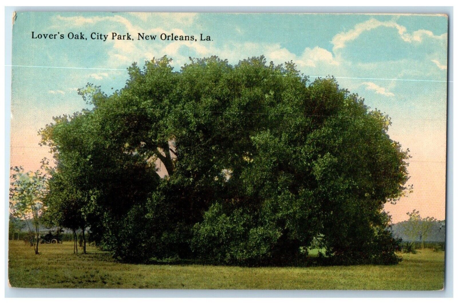 c1930\'s View Of Lover\'s Oak City Park New Orleans Louisiana LA Vintage Postcard
