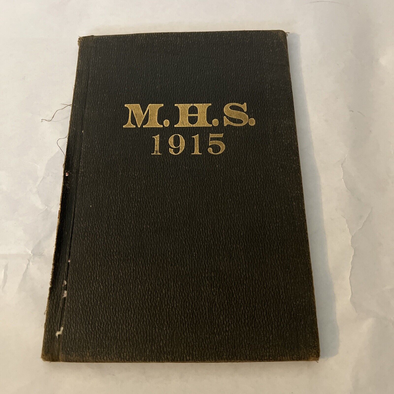 Merrill Wisconsin WI Annual Yearbook 1915 Hardcover HC Year Book