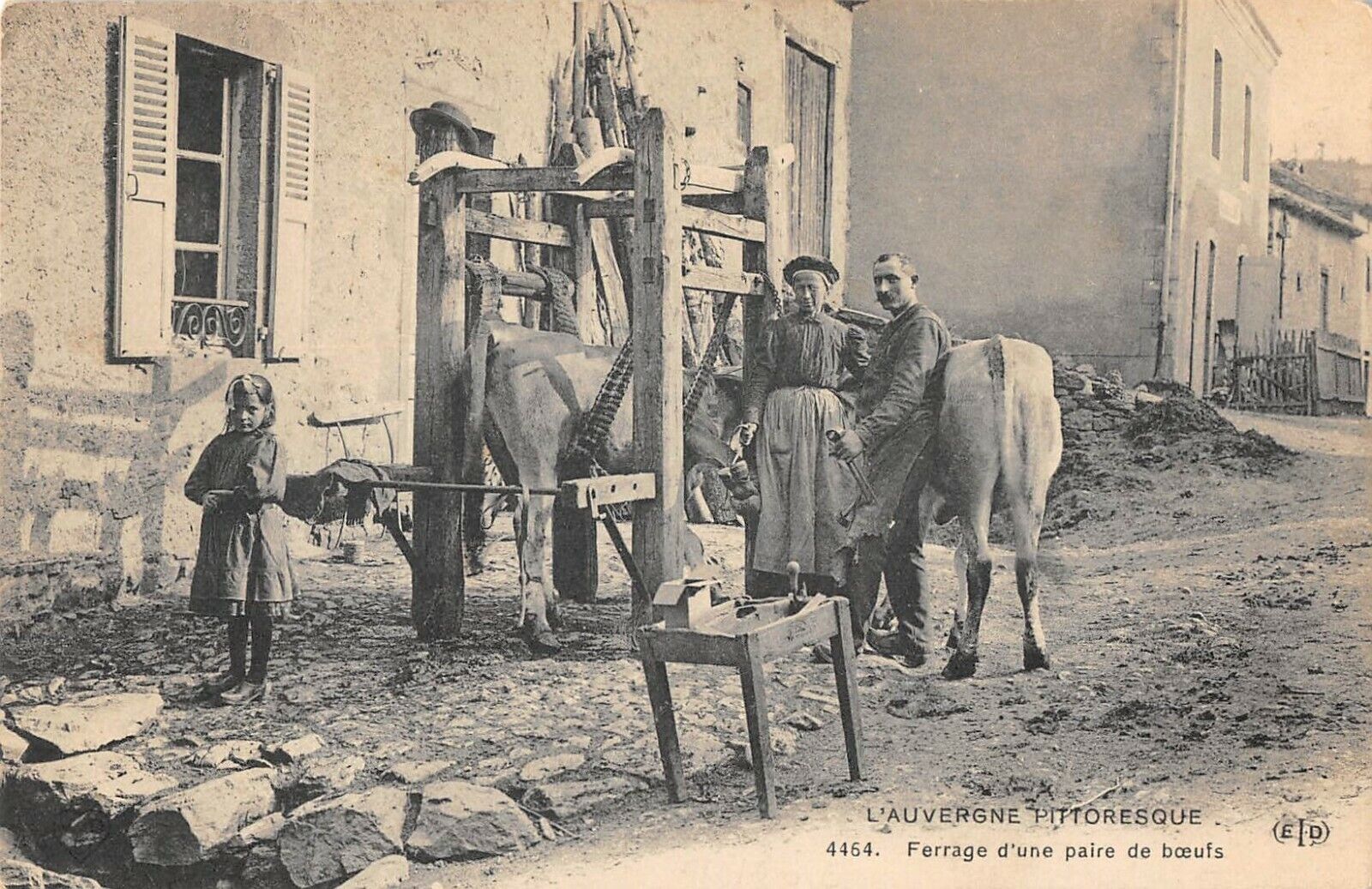CPA 63 L'AUVERGNE PICTURESQUE IRONING OF A PAIR OF OXEN