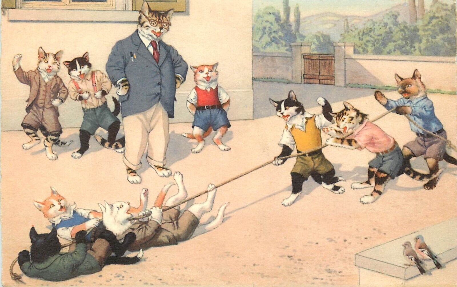 Eugen Hartung Swiss Dressed Cats Postcard School Tug of War Kunzli 4726 Posted