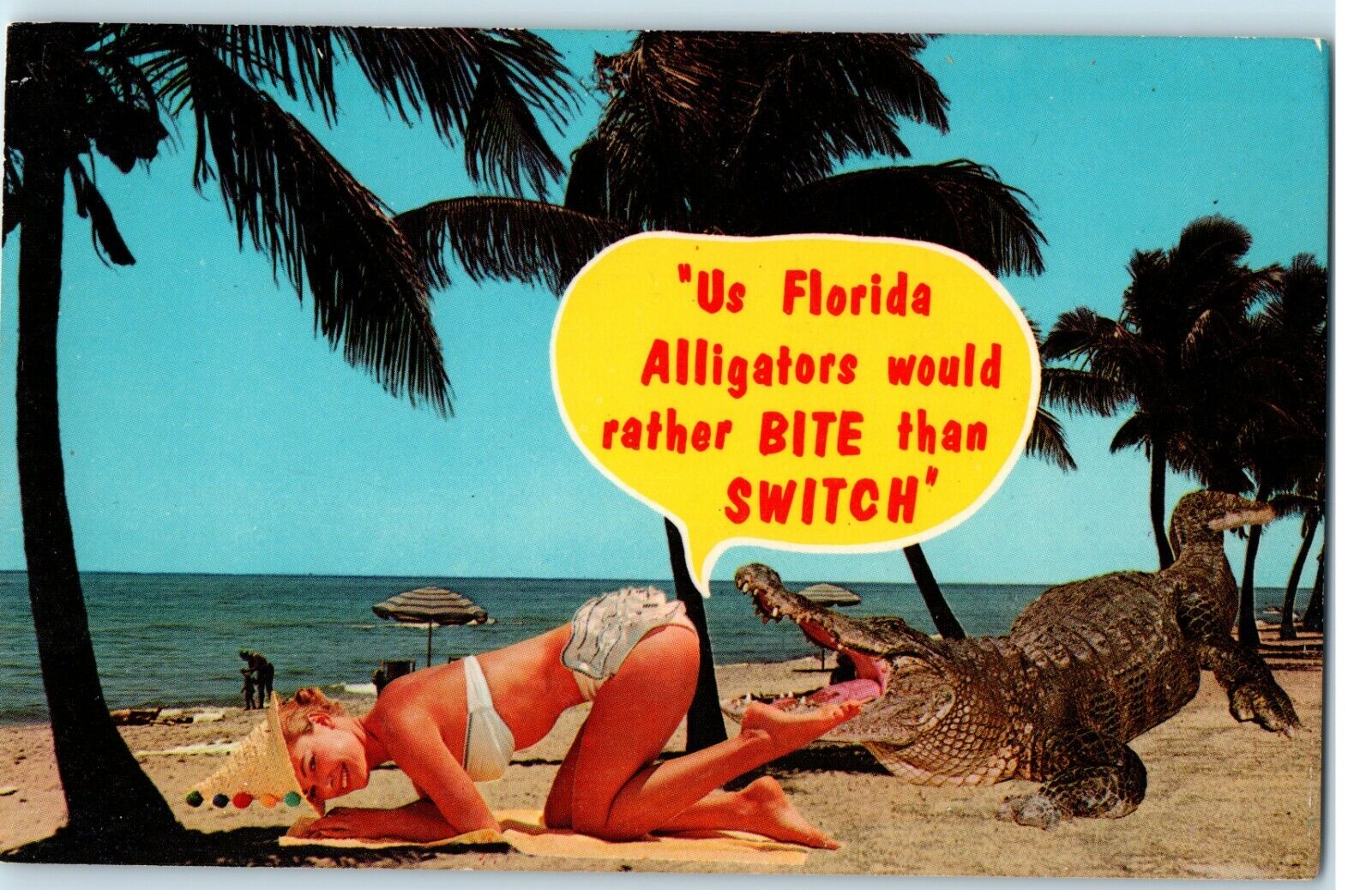 Postcard FL Humor Alligator and Woman in Bikini On Beach Unposted