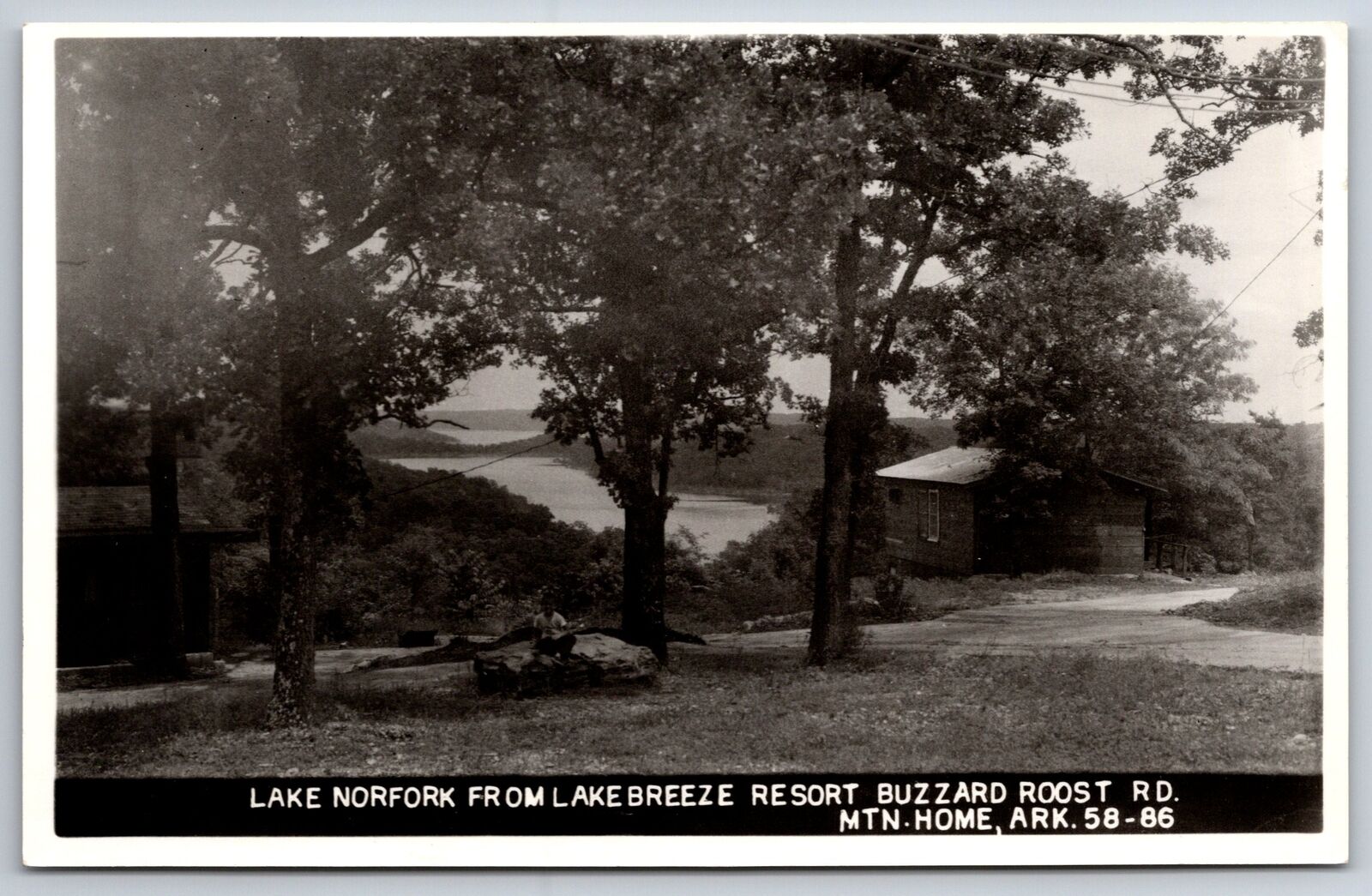 Mountain Home Arkansas~Lake Norfork @ Lake Breeze Resort~1950s RPPC