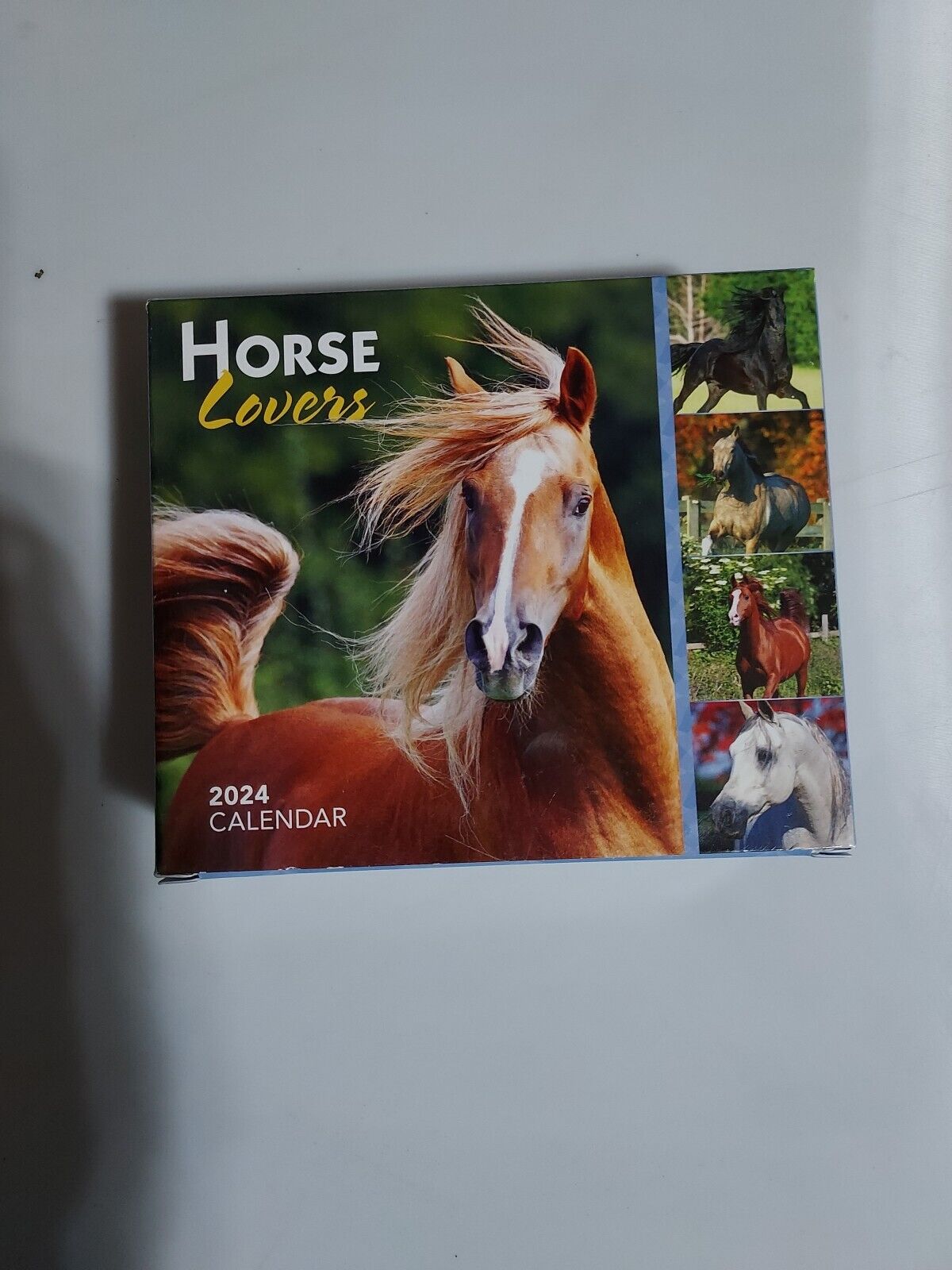 HORSE LOVERS 2024 5.75X 4.75 inches Box Calendar (Calendar) NEW