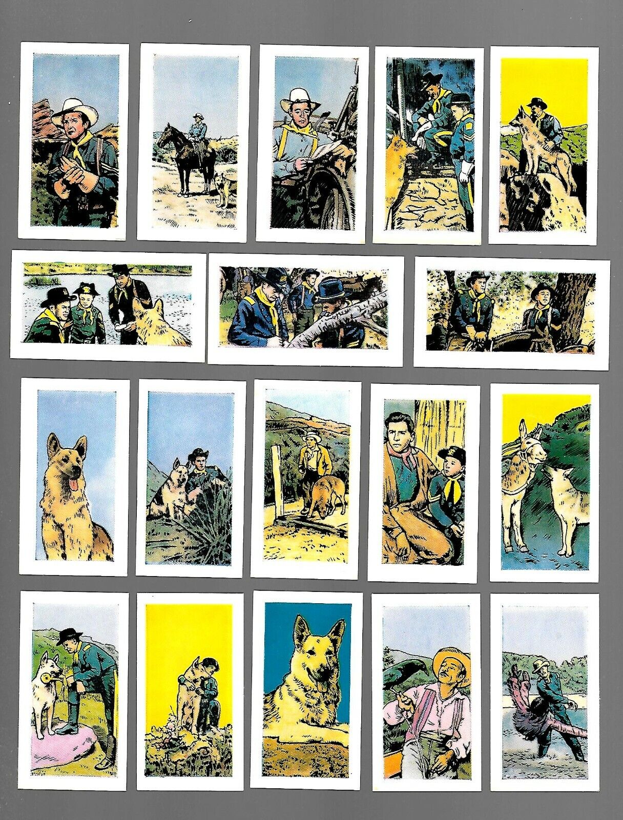 CIGARETTE/TRADE/CARDS. Cadet. THE ADVENTURES OF RIN TIN TIN. (1960). (Set of 48)