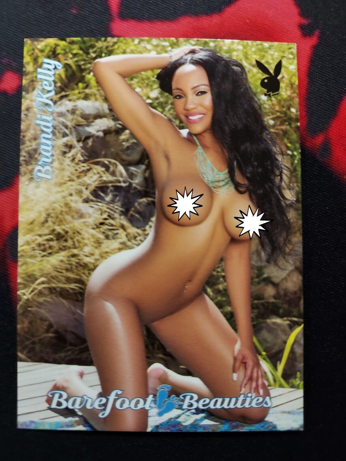 2018 Playboy Trading Card Brandi Kelly #33