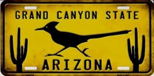 ARIZONA ROADRUNNER GRAND CANYON STATE LICENSE PLATE RUSTIC 12 X 6 REPRODUCTION 
