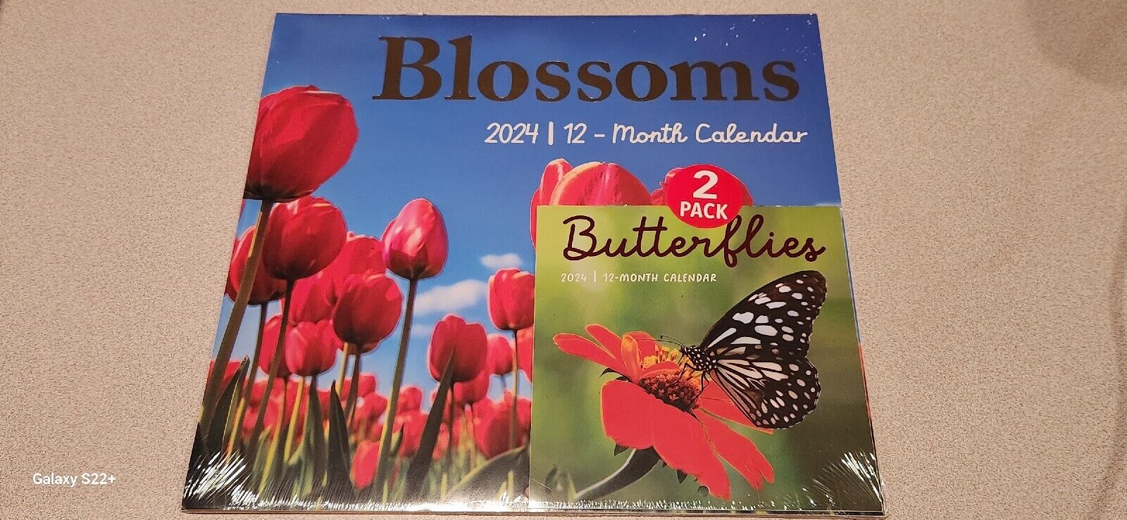 2024 Wall Calendars 2 Pack - BLOSSOMS 12 x 11 and BUTTERFLIES 6 x 6 - NEW