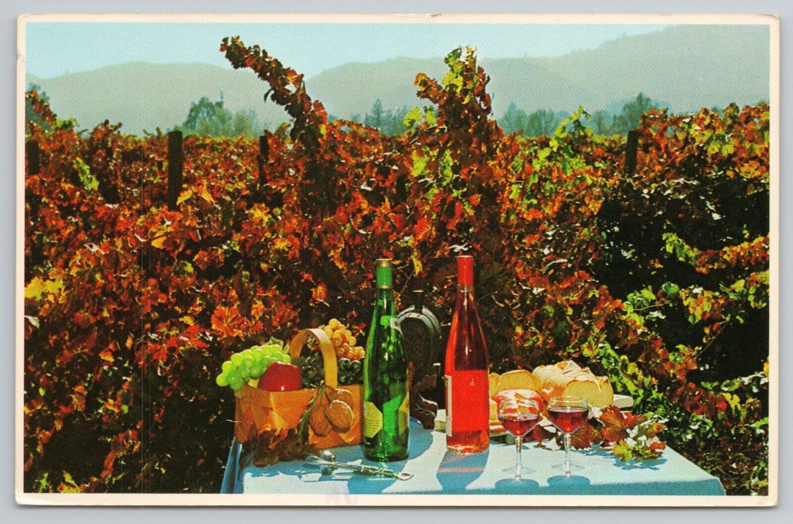 California Picnic Wine Vineyard Vintage Chrome Postcard
